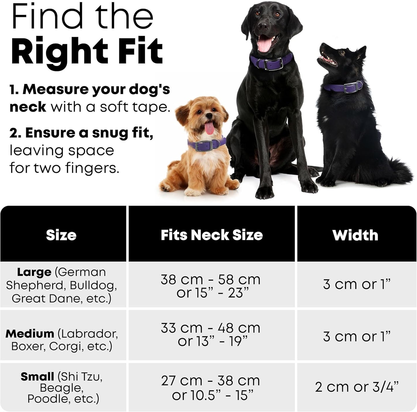 Regal Dog Products Medium Black Waterproof Dog Collar with Gold Buckle, Resilient and Durable Materials, Comfortable Design - for Small, Medium, and Large Breed Dogs