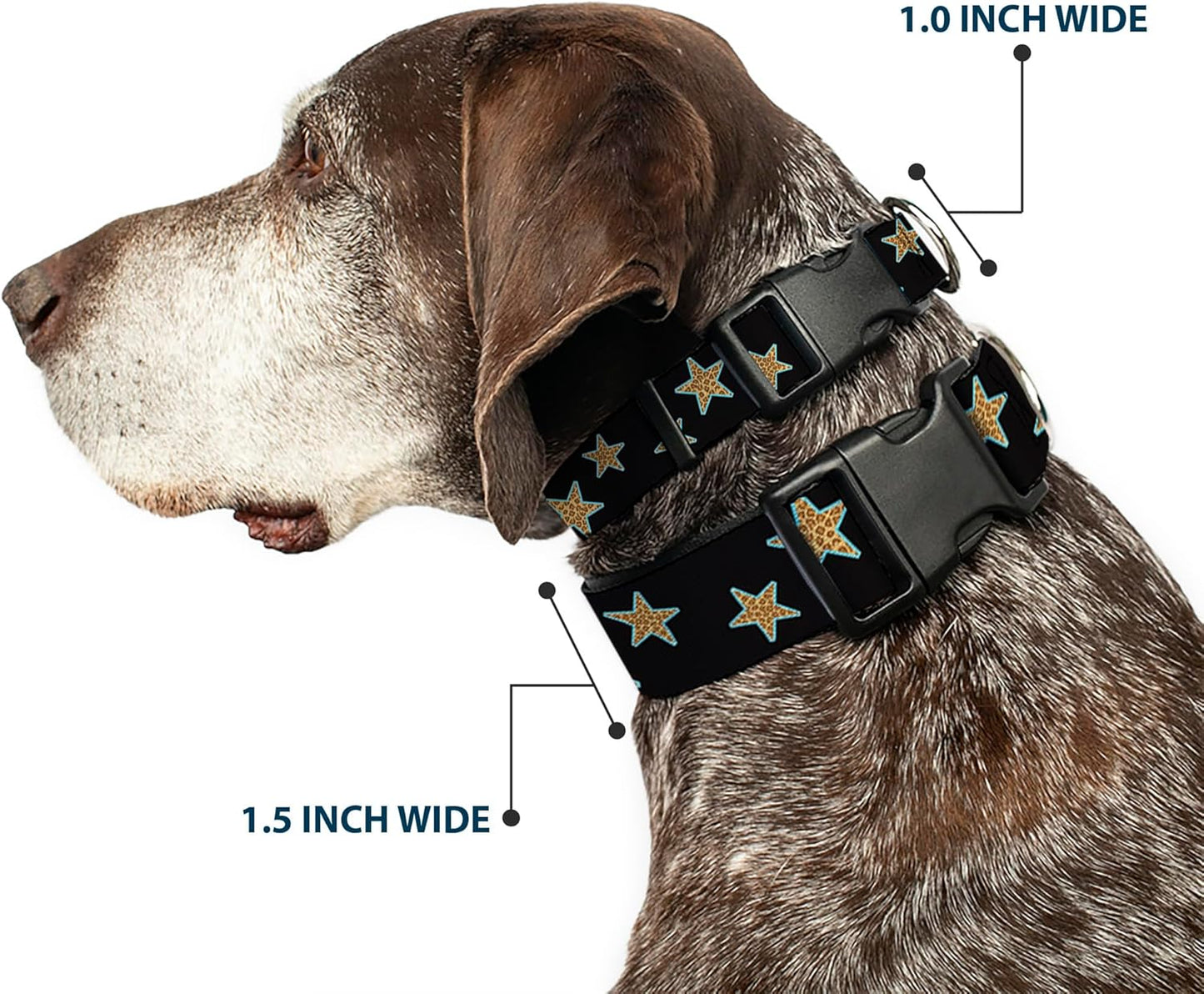 Buckle-Down PC-W21909-M Dog Collar Plastic Clip Buckle, 1"x11"-17", Star Black/White