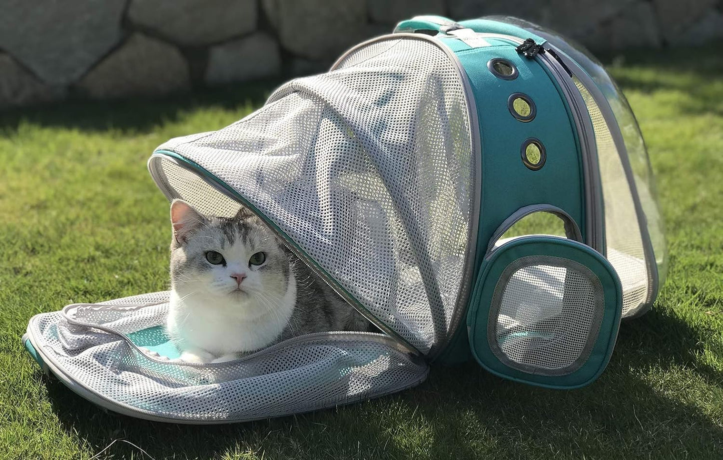 LAIRIES Dual Expandable Cat Backpack Carrier Front & Back Extension Pet Backpack Carrier, Fit up to 20 lbs, Bubble Capsule Dog Backpack Travel, Hiking & Outdoor Backpack (CL-Star Blue, Dual Extension)