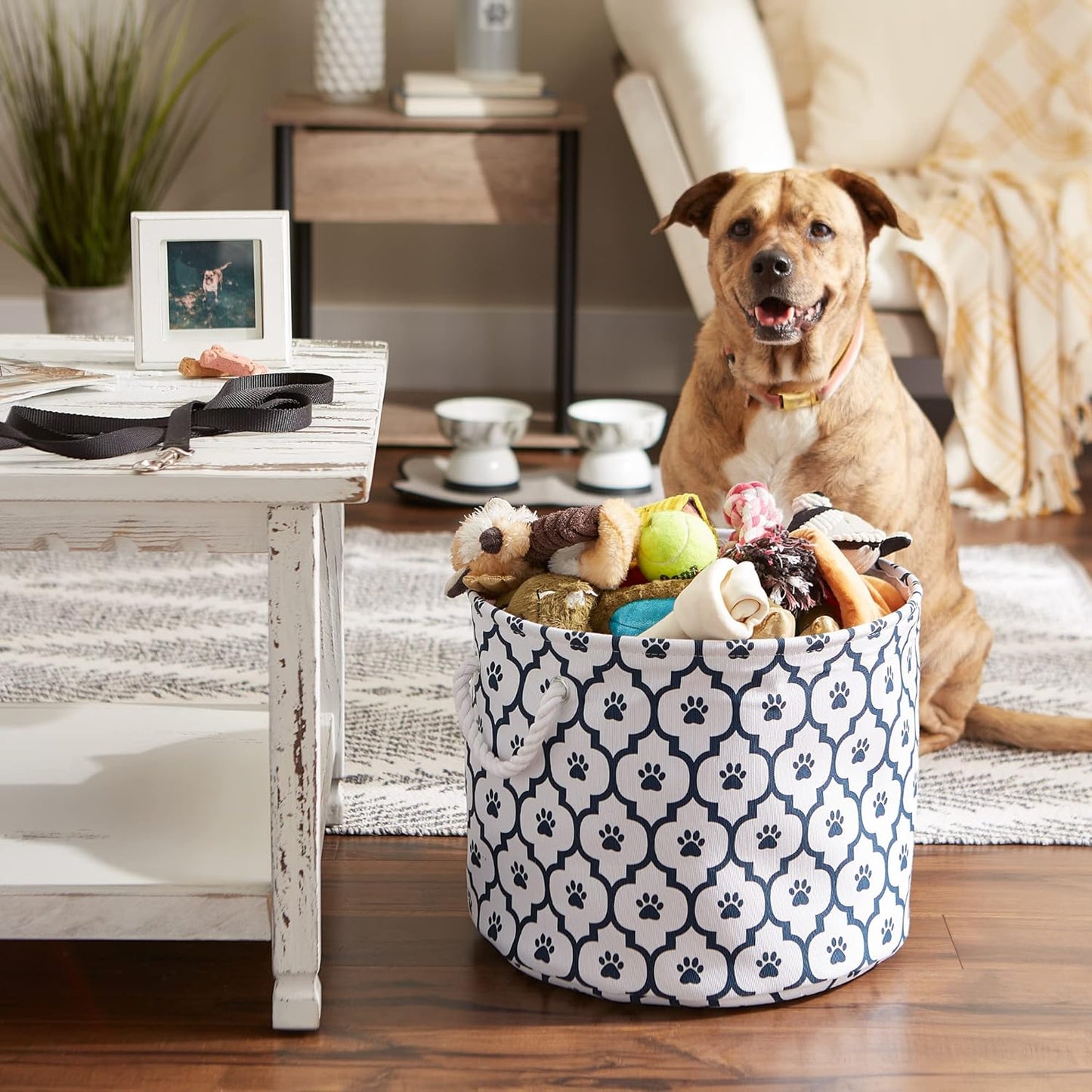 DII Bone Dry RoundSmall Pet Toy and Accessory Storage Bin, 12"(Dia) x9(H), Collapsible Organizer Storage Basket for Home Decor, Pet Toy, Blankets, Leashes and Food-Gray Stripes