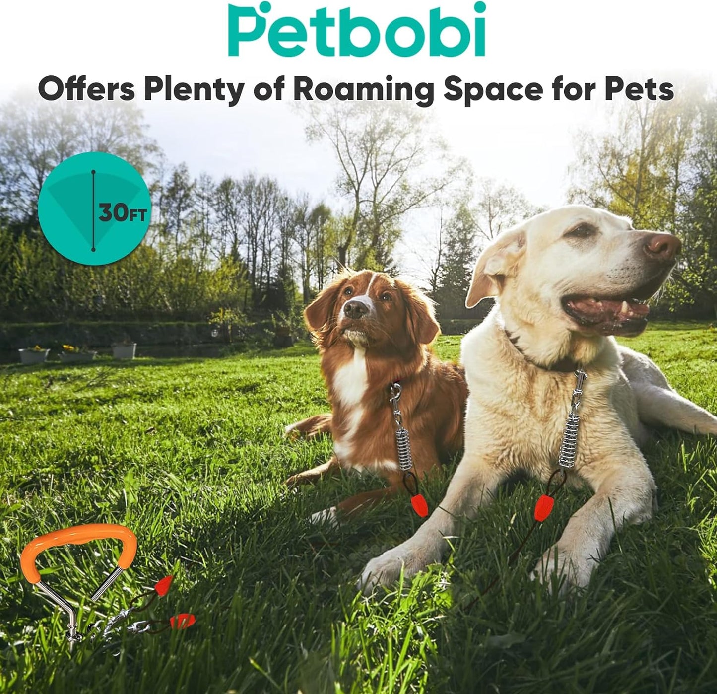 Petbobi Dog Tie-Out Cable and Stake - 30ft Heavy Duty Cable with Spring, No Tangle, 16in Ground Stake, Ideal for Yard, Camping and Beach, Suitable for Small Medium Large Dogs Up to 120 lbs, Blue