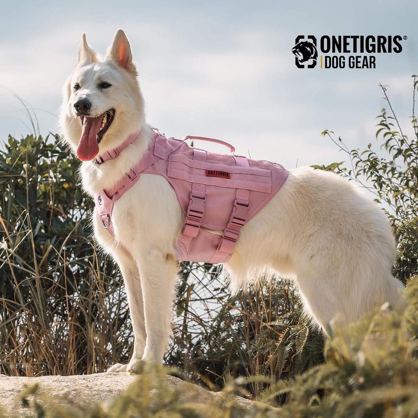 OneTigris Tactical Dog Collars with Handle,Military Dog Collar for Large Dog,Adjustable Nylon Collar German Shepherd Collar with Heavy Duty Metal Buckle for Dog Training and Walking (M, Orange)