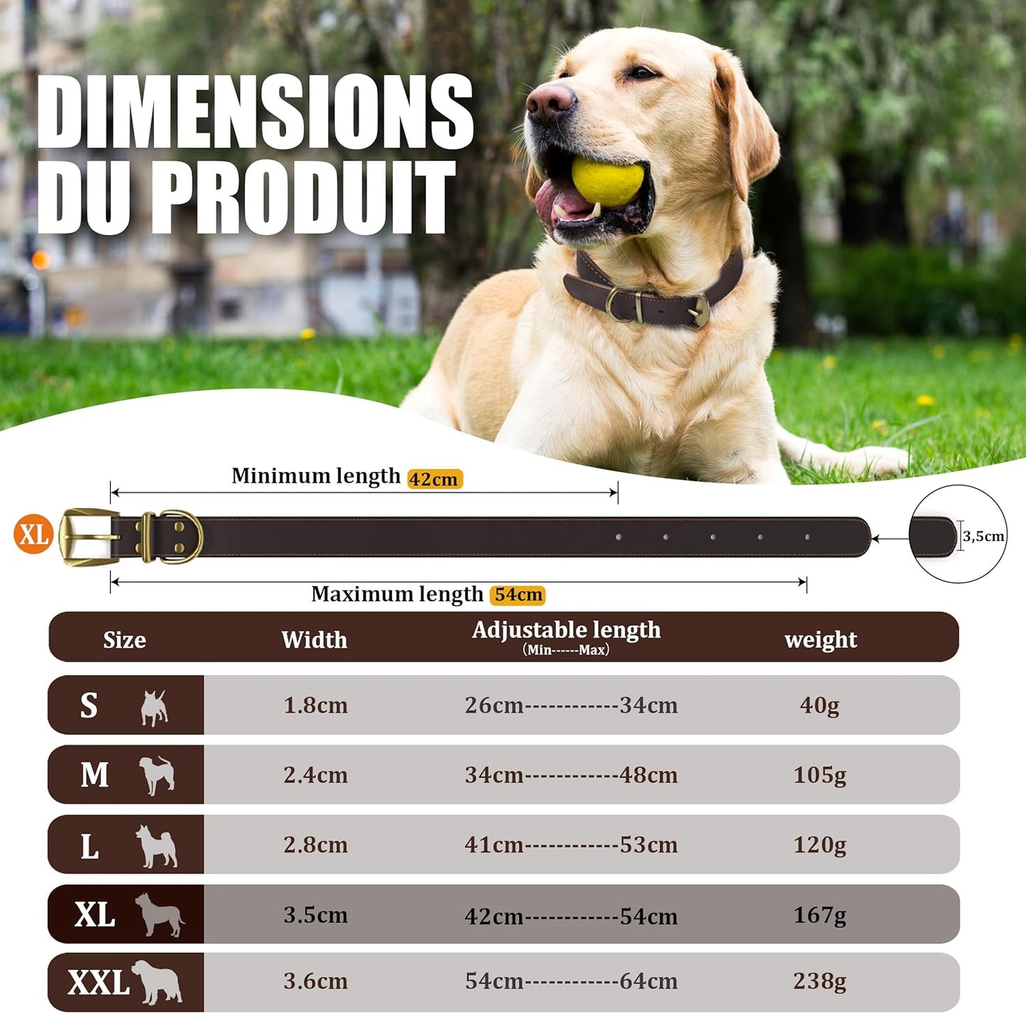 QRDA Leather Dog Collar Brown Dog Training Collar Heavy Duty Premium Leather Dog Collar Dog Collars for Medium/Large Dogs