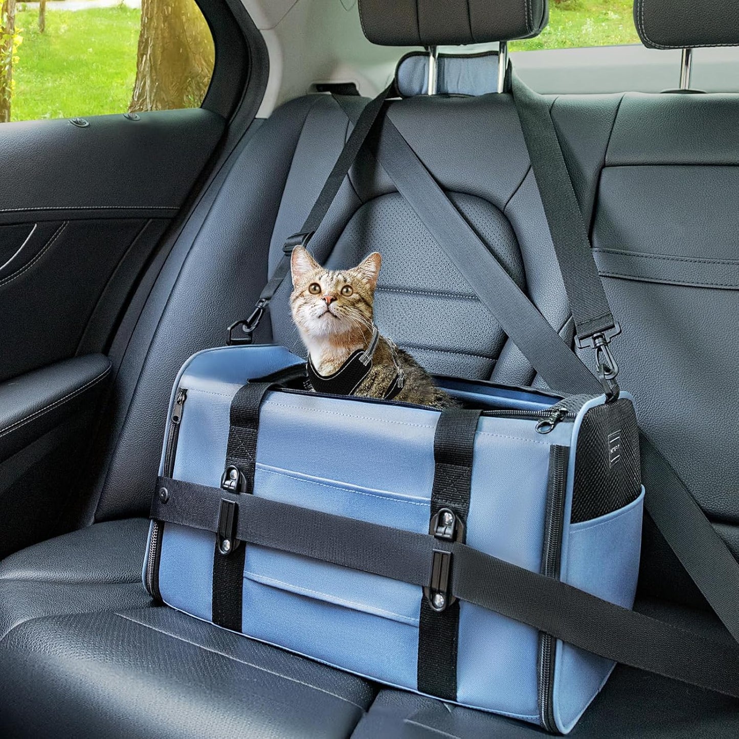 Petsfit Pet Carrier Airline Approved, Soft-Sided Cat Carrier with Patented Car Buckle, Lightweight and Collapsible with Adjustable Shoulder Strap, Soft Cushion,Green