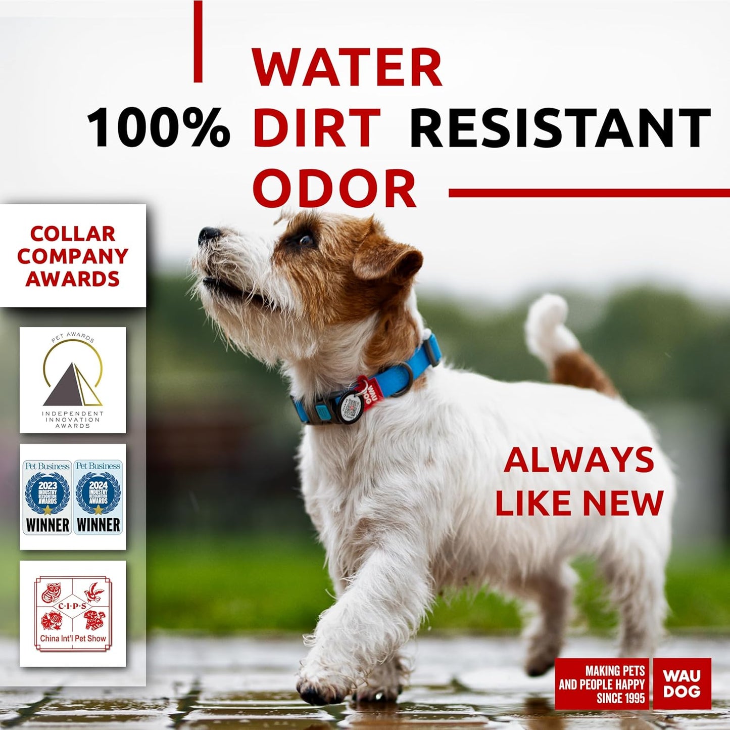 Waterproof Dog Collar - Adjustable Glow Dog Collar for Large Dogs, Small and Medium Dogs - Heavy Duty Dog Collars with Durable Metal Clasp and QR Dog Tag - Glow in The Dark Dog Collars