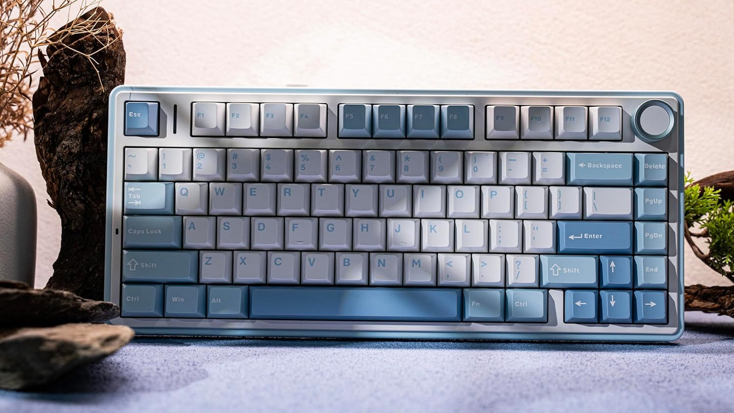 EPOMAKER x Aula F75 Gasket Mechanical Keyboard, 75% Wireless Hot Swappable Gaming Keyboard with Five-Layer Padding&Knob, Bluetooth/2.4GHz/USB-C, RGB (Black Gradient, LEOBOG Reaper Switch)