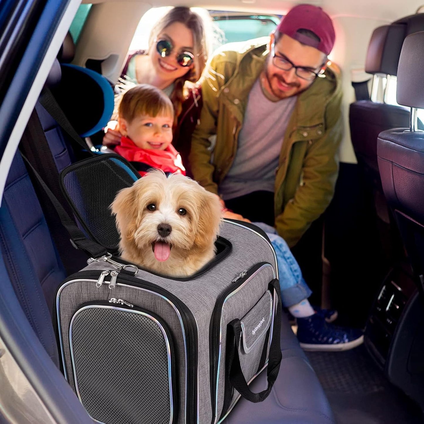 Cat Travel Bag 4 Sides Expandable Pet Carrier Airline Approved Folding Soft Sided Transport Tote Bag for cat