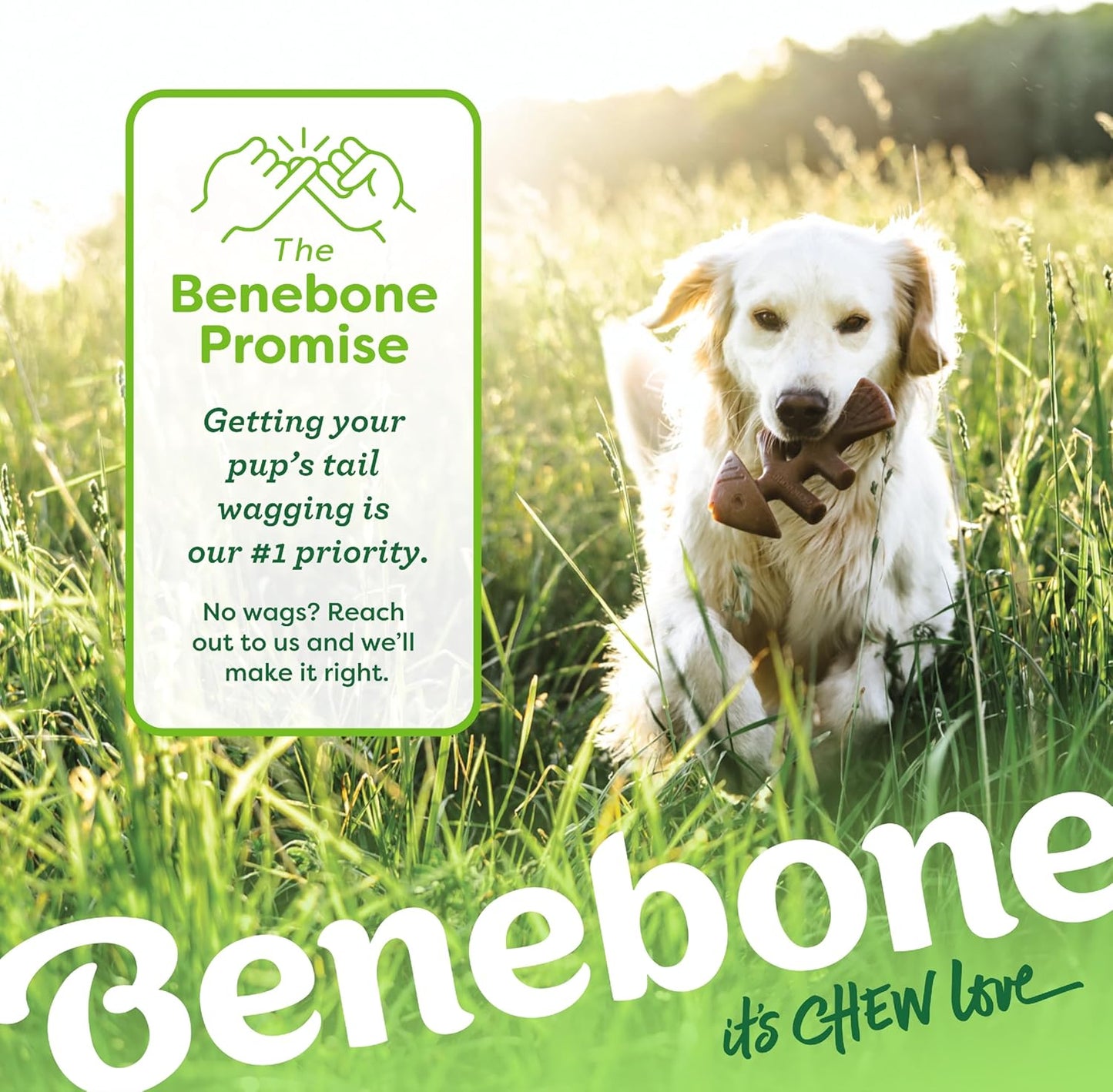 Benebone 4-Pack Durable Dog Chew Toys for Aggressive Chewers, Real Flavors, Made in USA, Medium