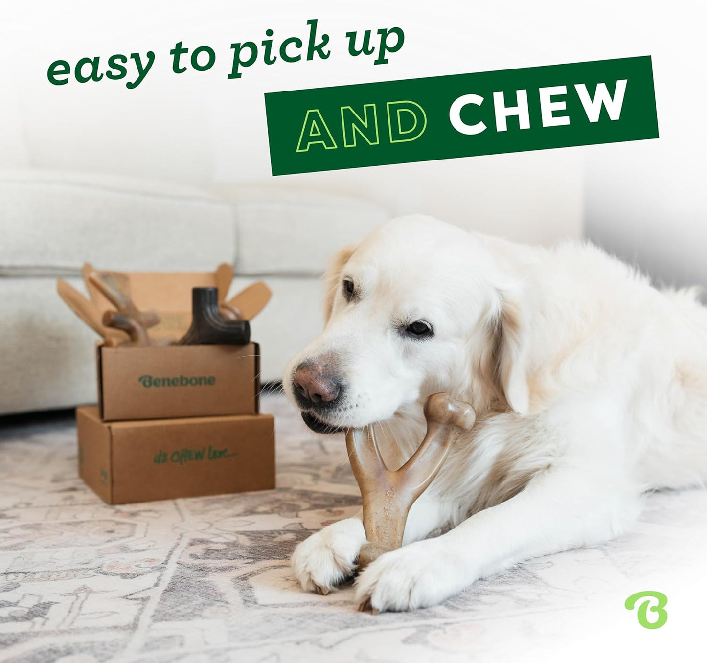 Benebone 4-Pack Durable Dog Chew Toys for Aggressive Chewers, Real Flavors, Made in USA, Medium