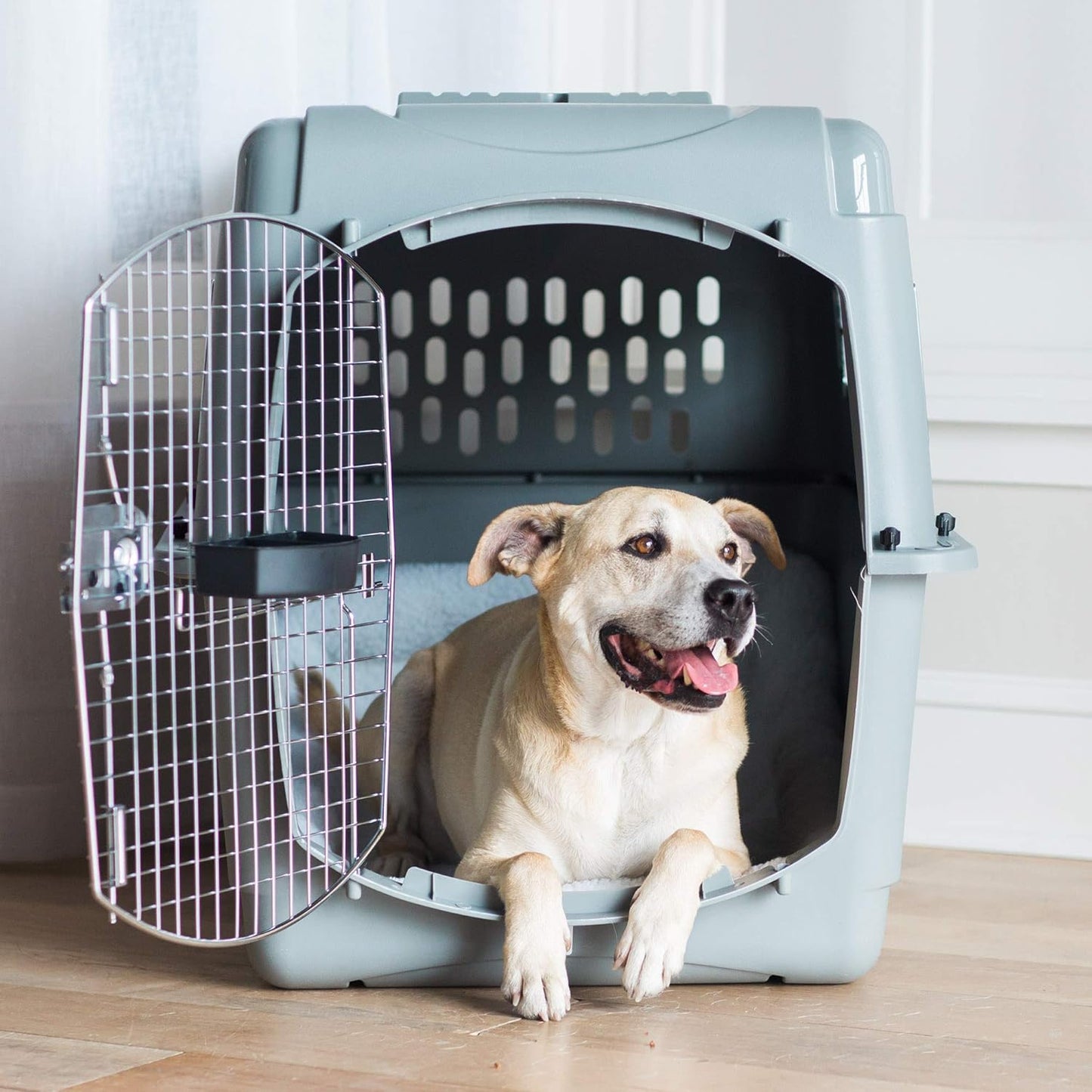 Petmate 00200 Sky Kennel for Pets from 25 to 30-Pound, Light Gray