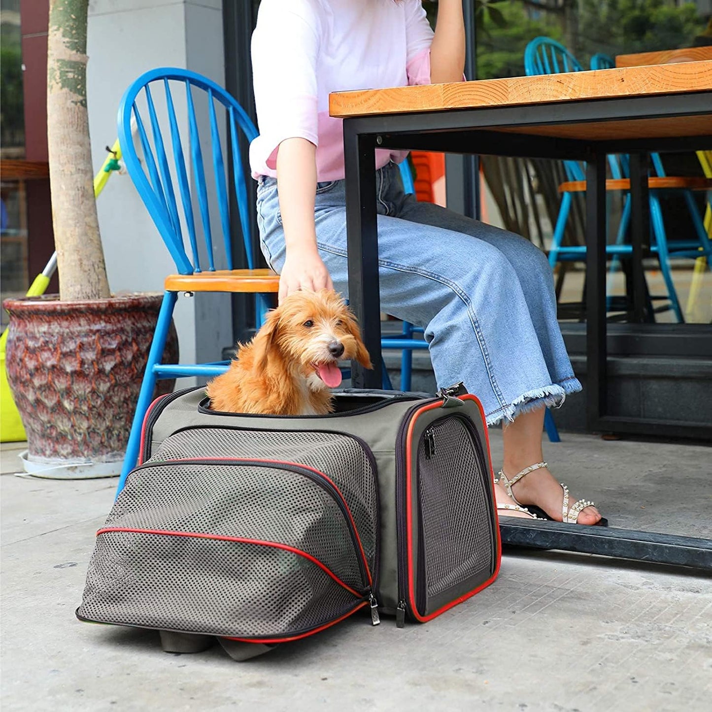Petsfit Expandable Cat Dog Carrier Airline Approved, 17" L x 11" W x 11" H Soft-Sided Portable Pet Travel Carrier for Kitten, Puppy, Removable Soft Plush Mat and Pockets, Auto-Locking Zippers