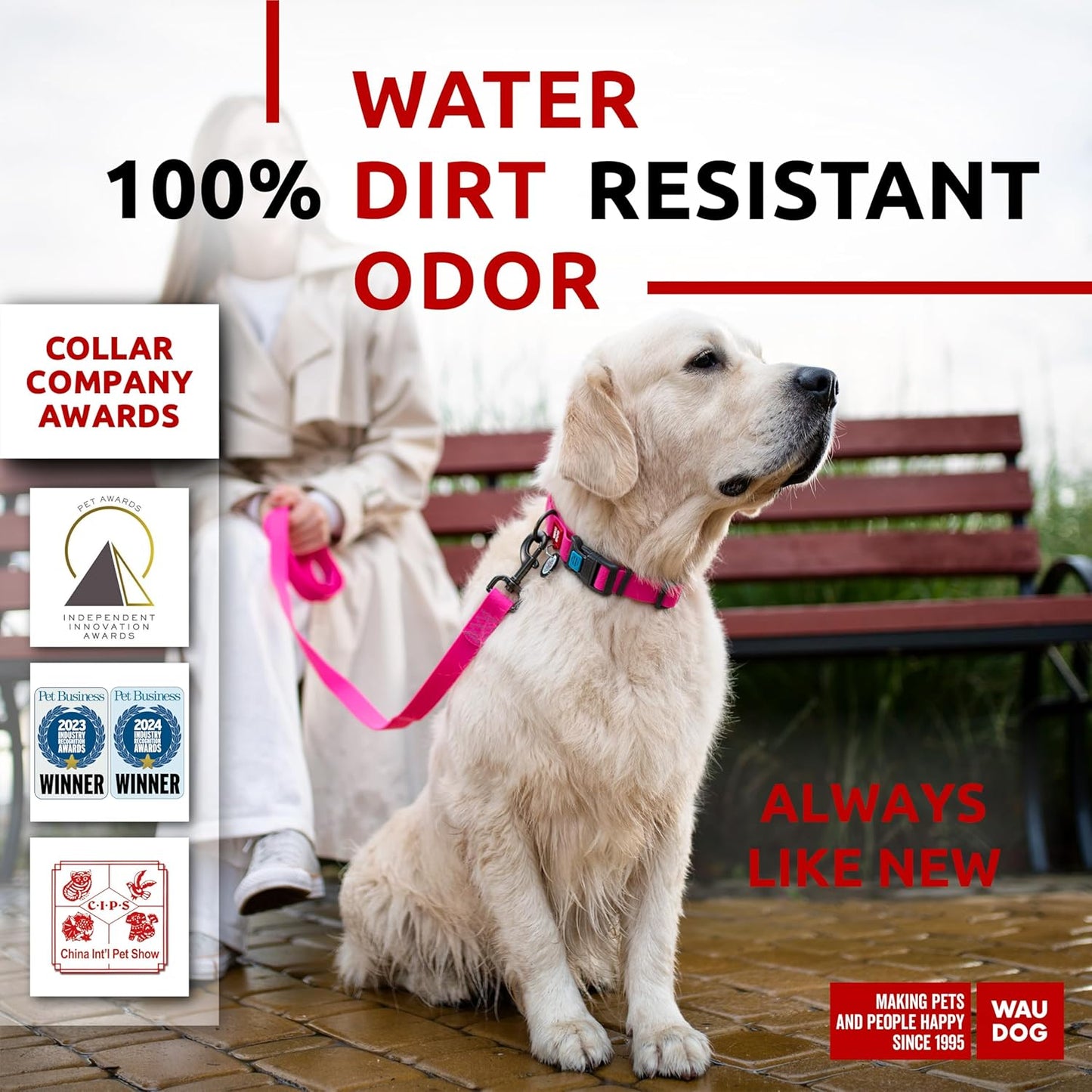 Waterproof Dog Collar - Adjustable Glow Dog Collar for Large Dogs, Small and Medium Dogs - Heavy Duty Dog Collars with Durable Metal Clasp and QR Dog Tag - Glow in The Dark Dog Collars