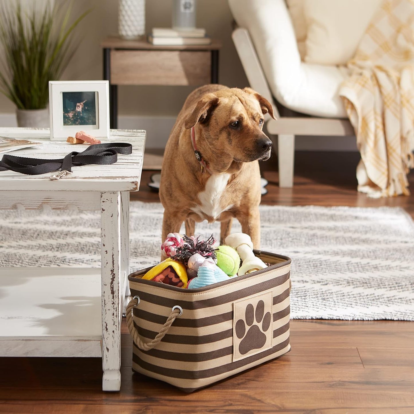 DII Bone Dry RoundSmall Pet Toy and Accessory Storage Bin, 12"(Dia) x9(H), Collapsible Organizer Storage Basket for Home Decor, Pet Toy, Blankets, Leashes and Food-Gray Stripes