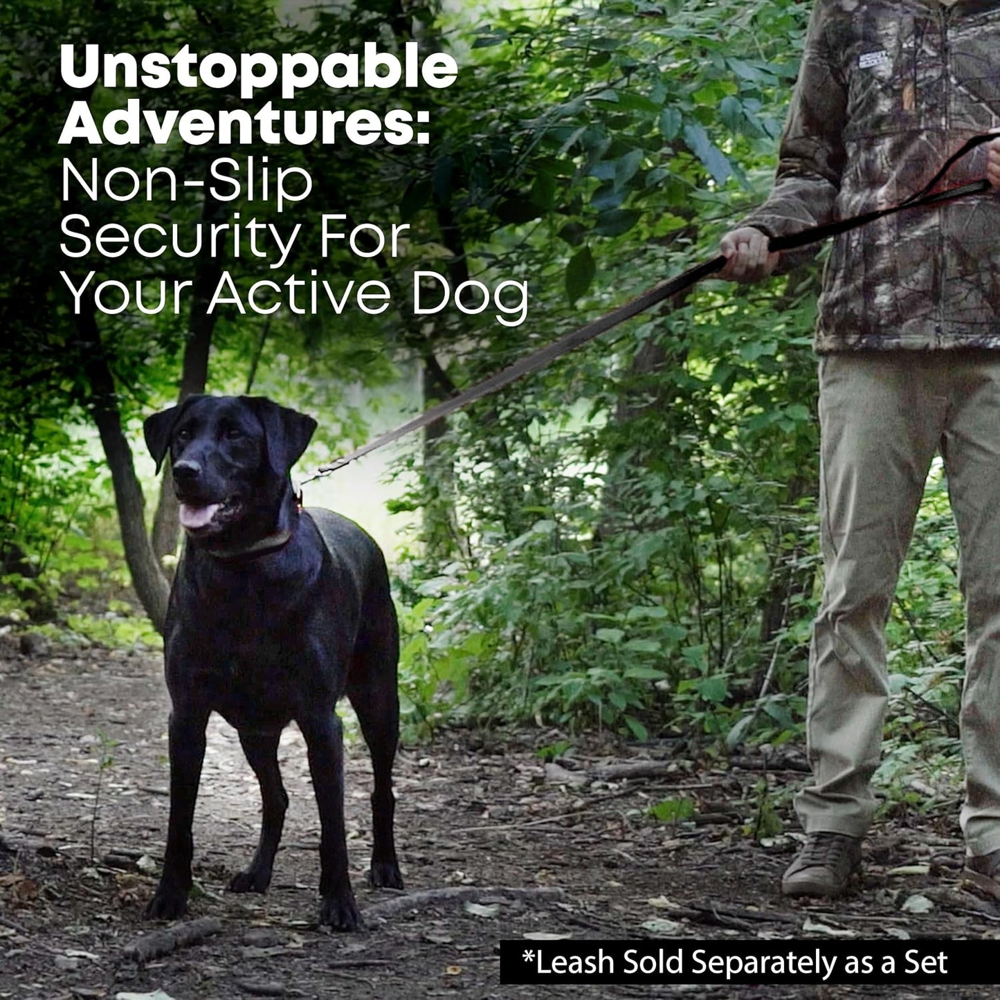 Regal Dog Products Medium Black Waterproof Dog Collar with Gold Buckle, Resilient and Durable Materials, Comfortable Design - for Small, Medium, and Large Breed Dogs