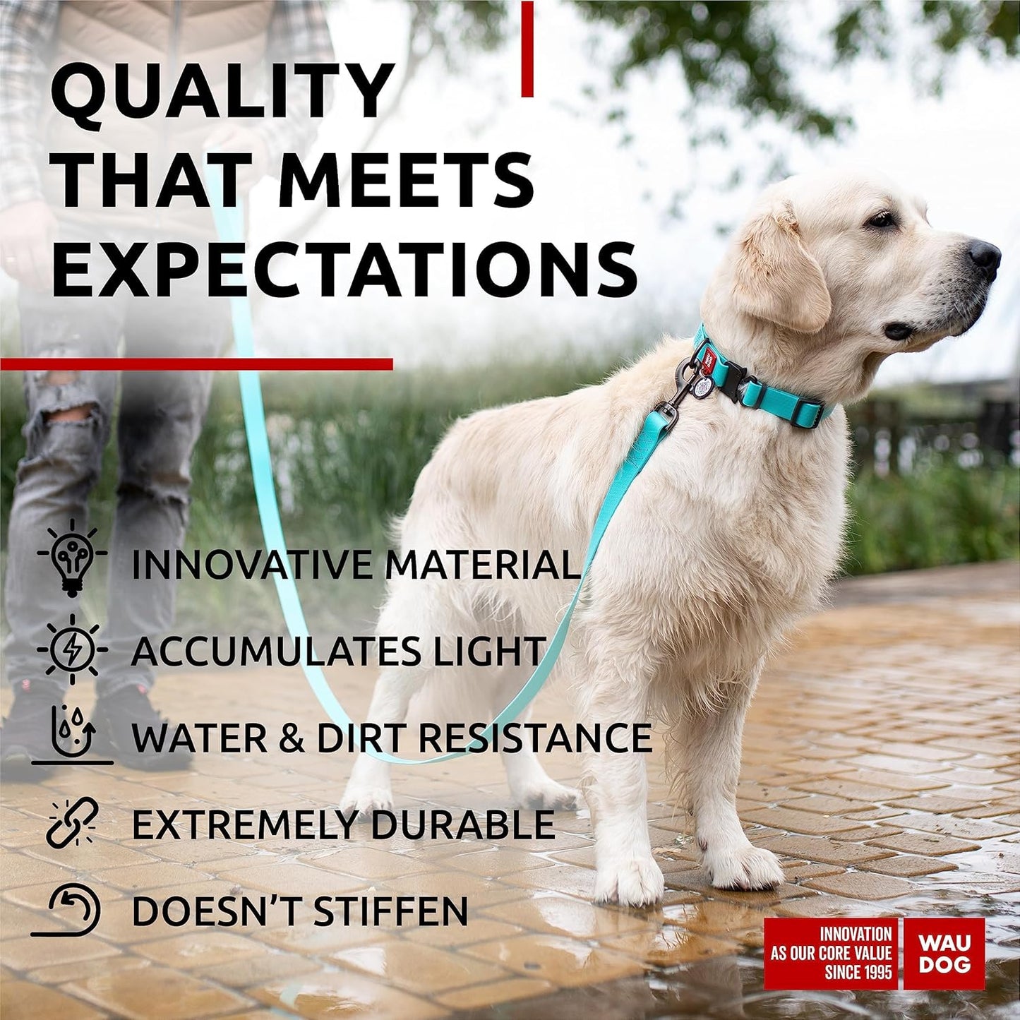 Waterproof Dog Collar - Adjustable Glow Dog Collar for Large Dogs, Small and Medium Dogs - Heavy Duty Dog Collars with Durable Metal Clasp and QR Dog Tag - Glow in The Dark Dog Collars