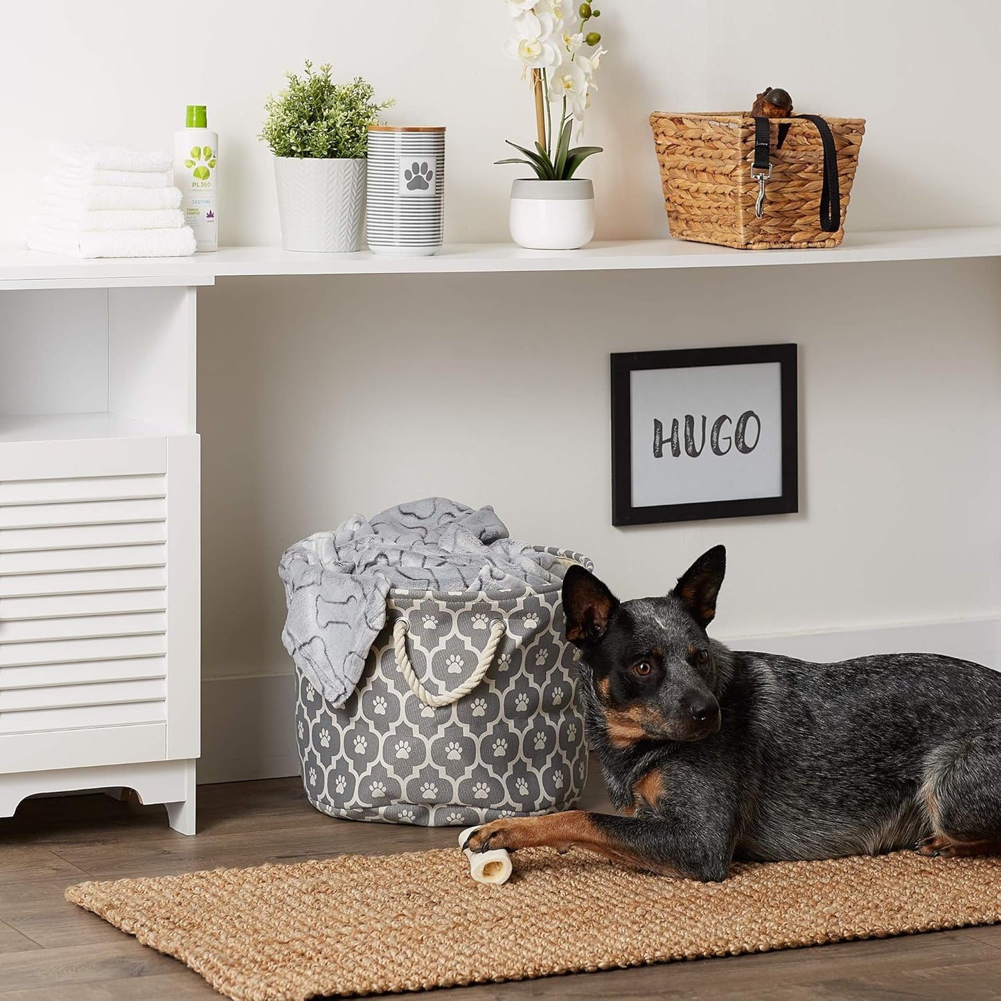 DII Bone Dry RoundSmall Pet Toy and Accessory Storage Bin, 12"(Dia) x9(H), Collapsible Organizer Storage Basket for Home Decor, Pet Toy, Blankets, Leashes and Food-Gray Stripes