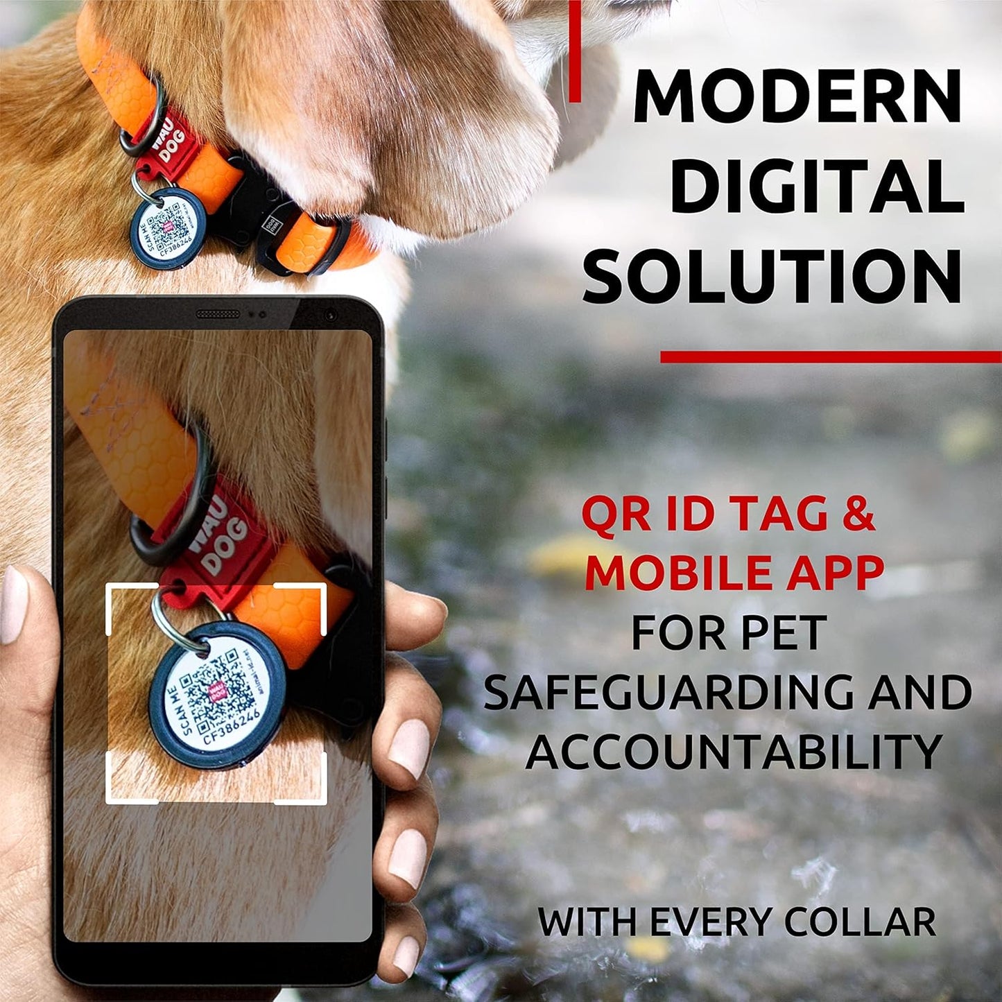 Waterproof Dog Collar - Adjustable Glow Dog Collar for Large Dogs, Small and Medium Dogs - Heavy Duty Dog Collars with Durable Metal Clasp and QR Dog Tag - Glow in The Dark Dog Collars