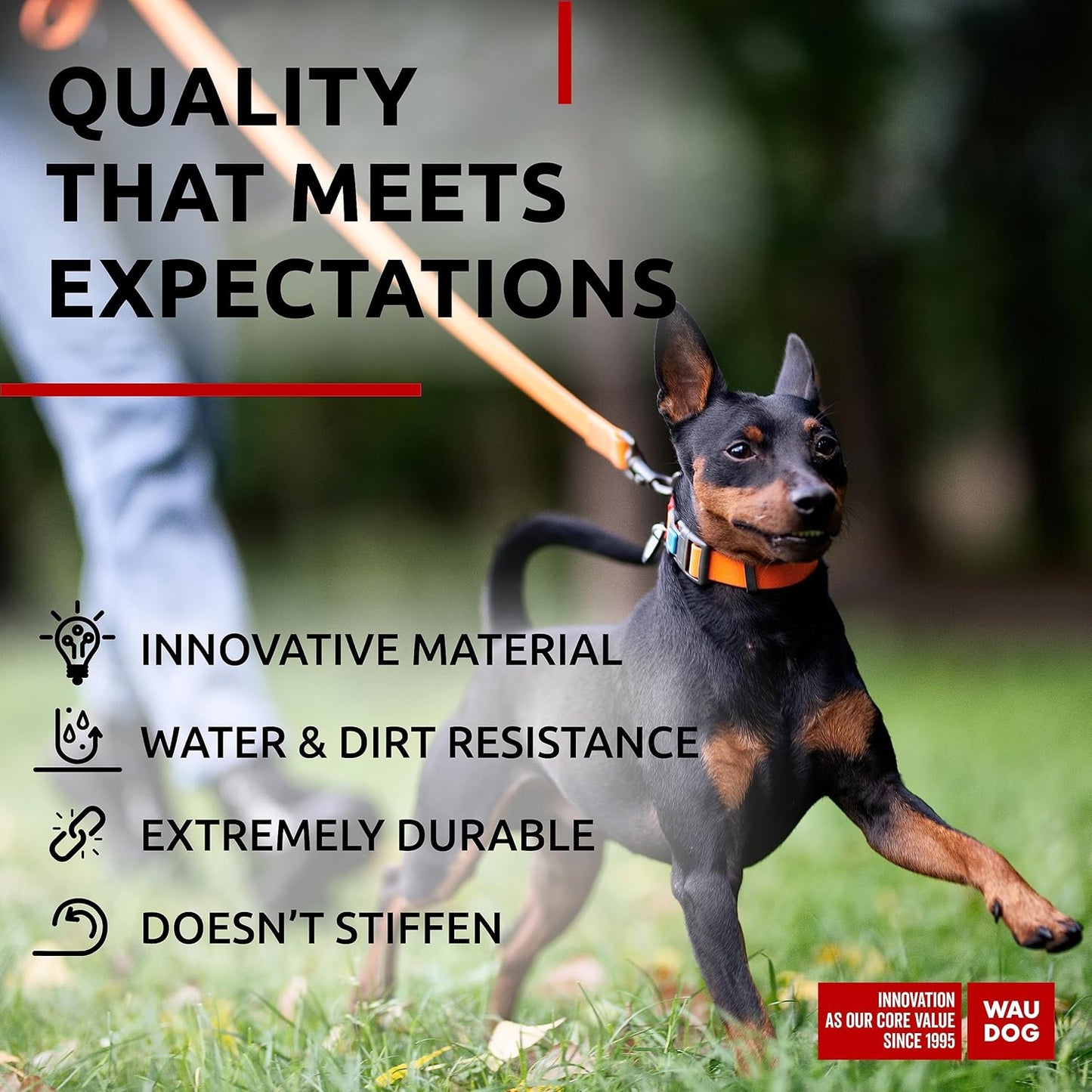 Waterproof Dog Collar - Adjustable Glow Dog Collar for Large Dogs, Small and Medium Dogs - Heavy Duty Dog Collars with Durable Metal Clasp and QR Dog Tag - Glow in The Dark Dog Collars