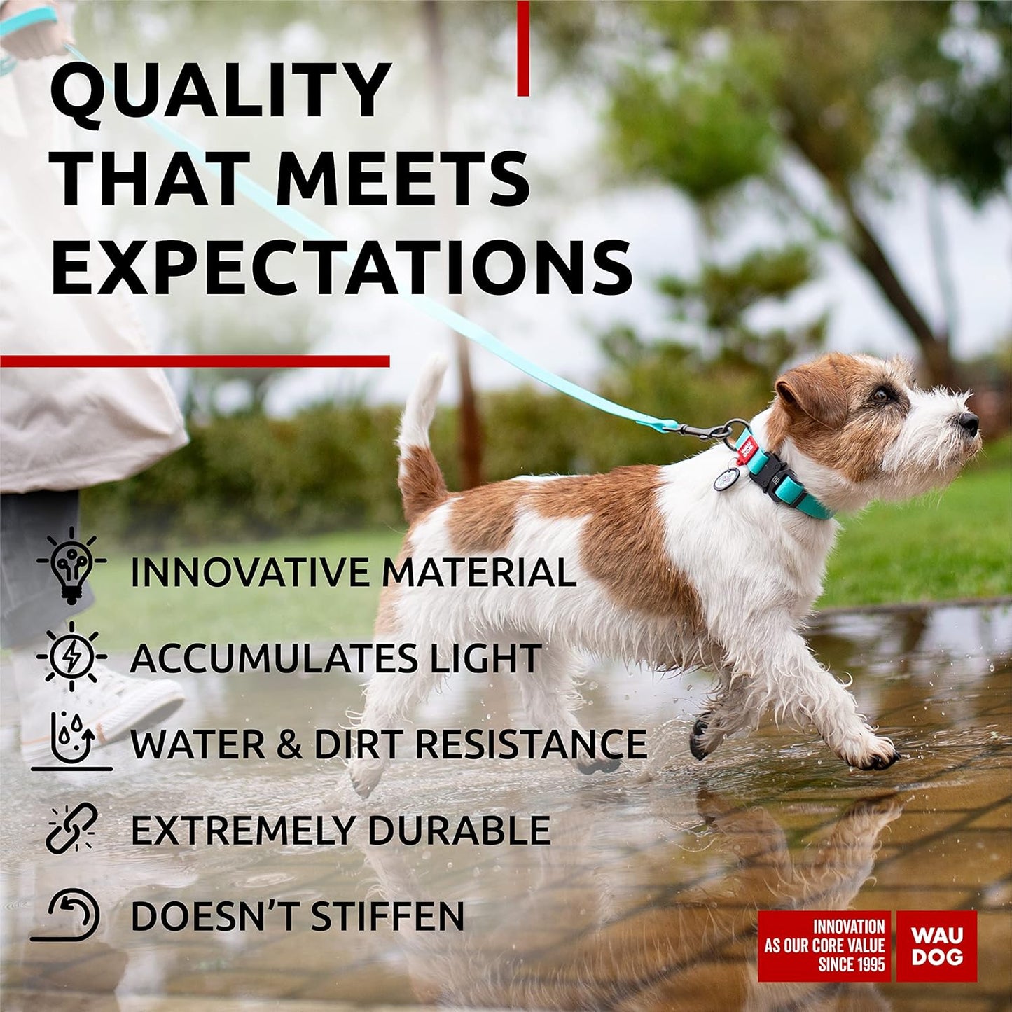 Waterproof Dog Collar - Adjustable Glow Dog Collar for Large Dogs, Small and Medium Dogs - Heavy Duty Dog Collars with Durable Metal Clasp and QR Dog Tag - Glow in The Dark Dog Collars