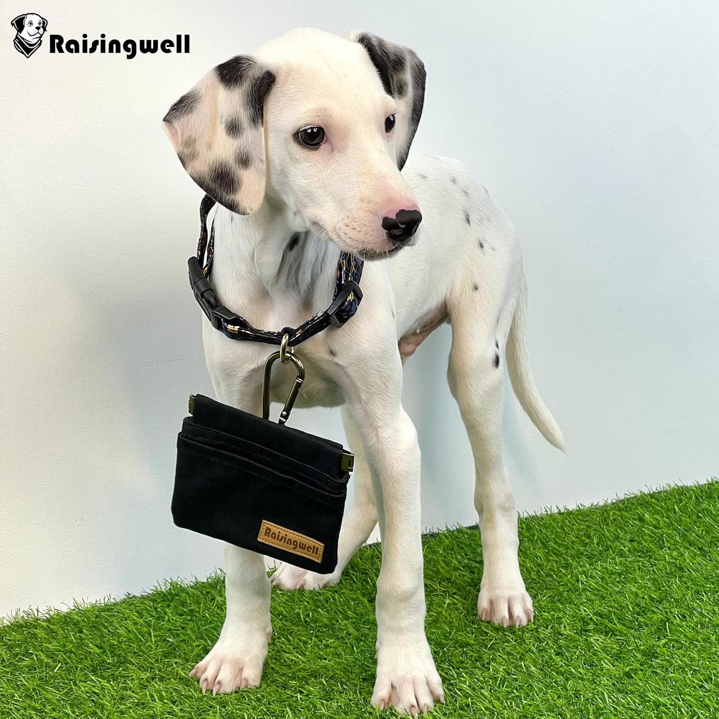 Raisingwell Dog Treat Pouch, Black Pocket Sized Pet Training Pouch, Cotton Fabric, Hand Free Dog Walking Bag with Carabiner, Self-Closing Pet Feed Snack Reward, for Pet Puppy Travel or Outdoor Use