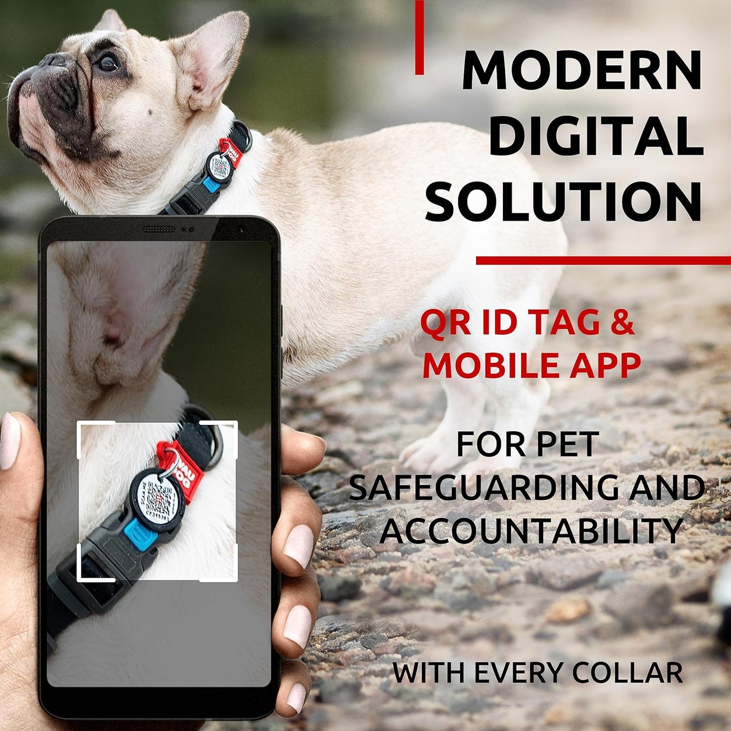 Waterproof Dog Collar - Adjustable Glow Dog Collar for Large Dogs, Small and Medium Dogs - Heavy Duty Dog Collars with Durable Metal Clasp and QR Dog Tag - Glow in The Dark Dog Collars