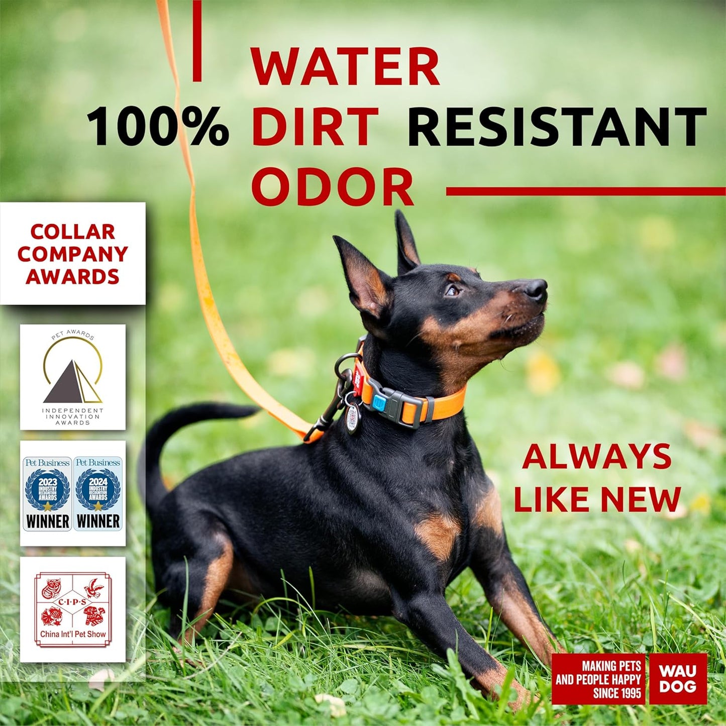 Waterproof Dog Collar - Adjustable Glow Dog Collar for Large Dogs, Small and Medium Dogs - Heavy Duty Dog Collars with Durable Metal Clasp and QR Dog Tag - Glow in The Dark Dog Collars