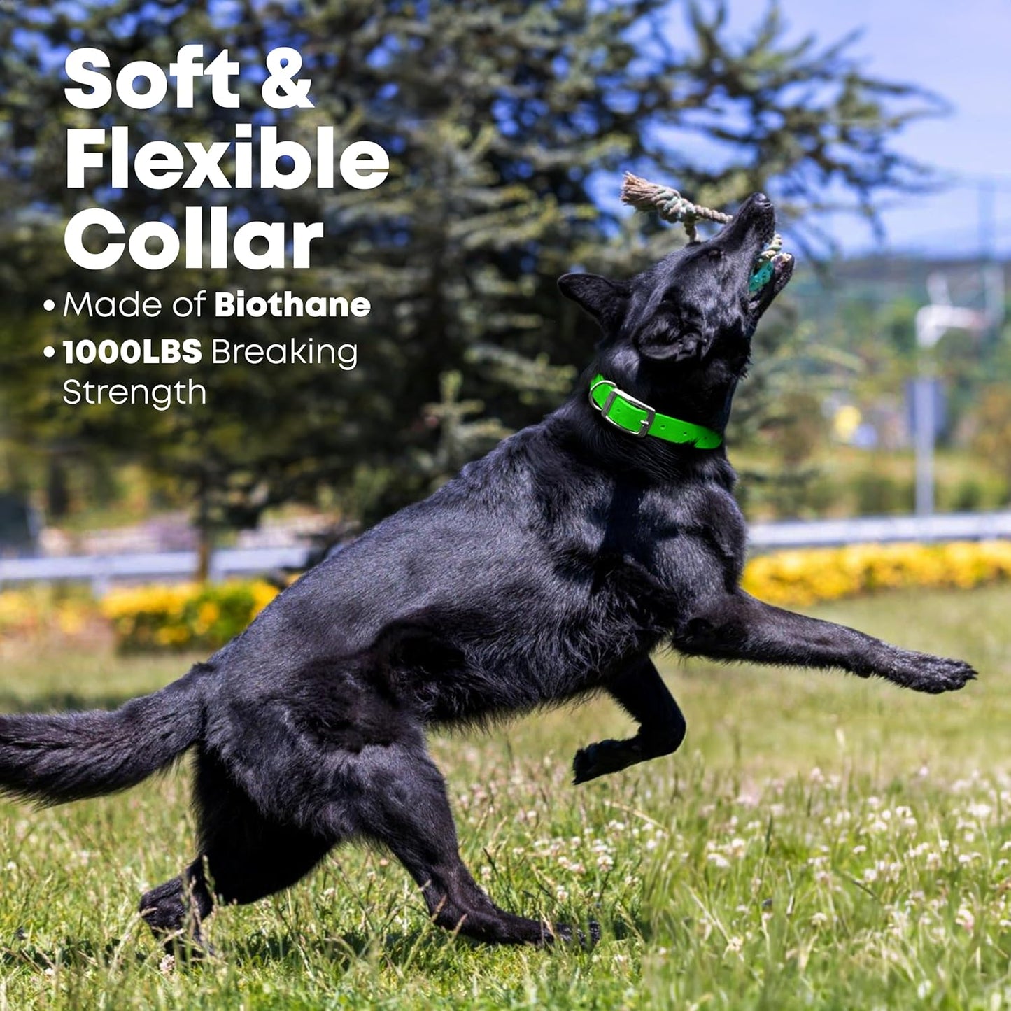 Regal Dog Products Medium Yellow Waterproof Dog Collar with Heavy Duty Double Buckle & D Ring | Vinyl Coated, Custom Fit, Adjustable Biothane Dog Collar | Chew Resistant Waterproof Collar for Dogs