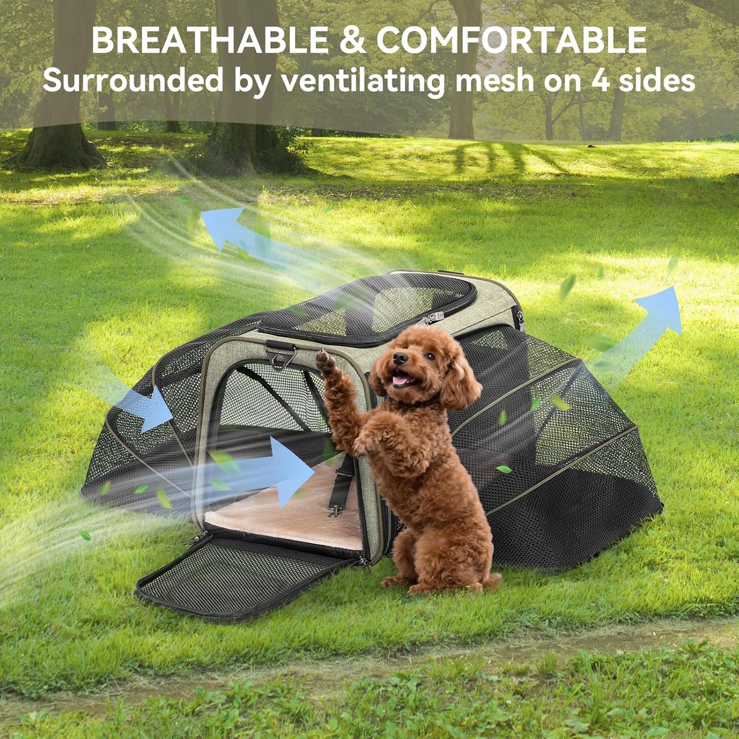 Petsfit Expandable Cat Dog Carrier Airline Approved, 17" L x 11" W x 11" H Soft-Sided Portable Pet Travel Carrier for Kitten, Puppy, Removable Soft Plush Mat and Pockets, Auto-Locking Zippers