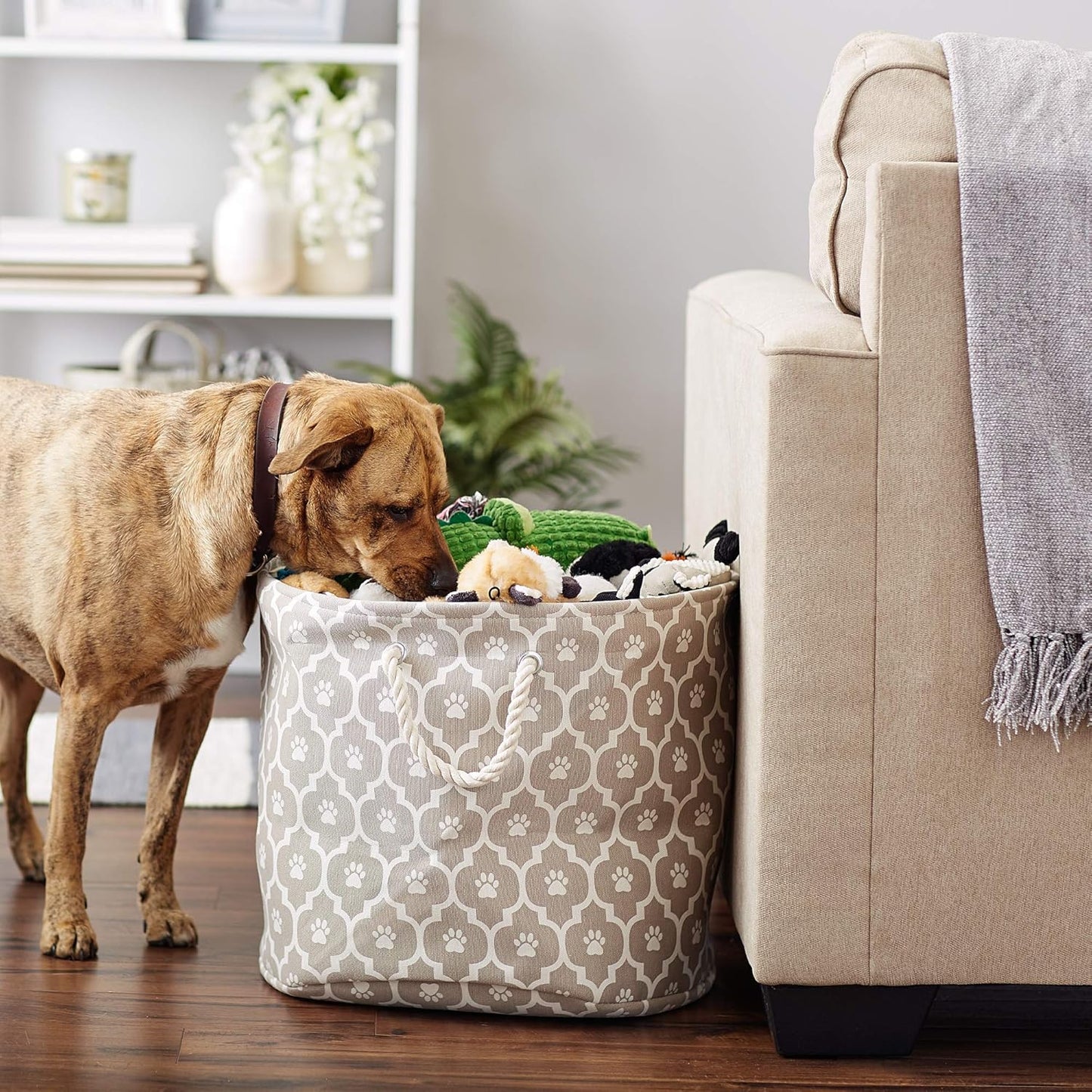 DII Bone Dry RoundSmall Pet Toy and Accessory Storage Bin, 12"(Dia) x9(H), Collapsible Organizer Storage Basket for Home Decor, Pet Toy, Blankets, Leashes and Food-Gray Stripes
