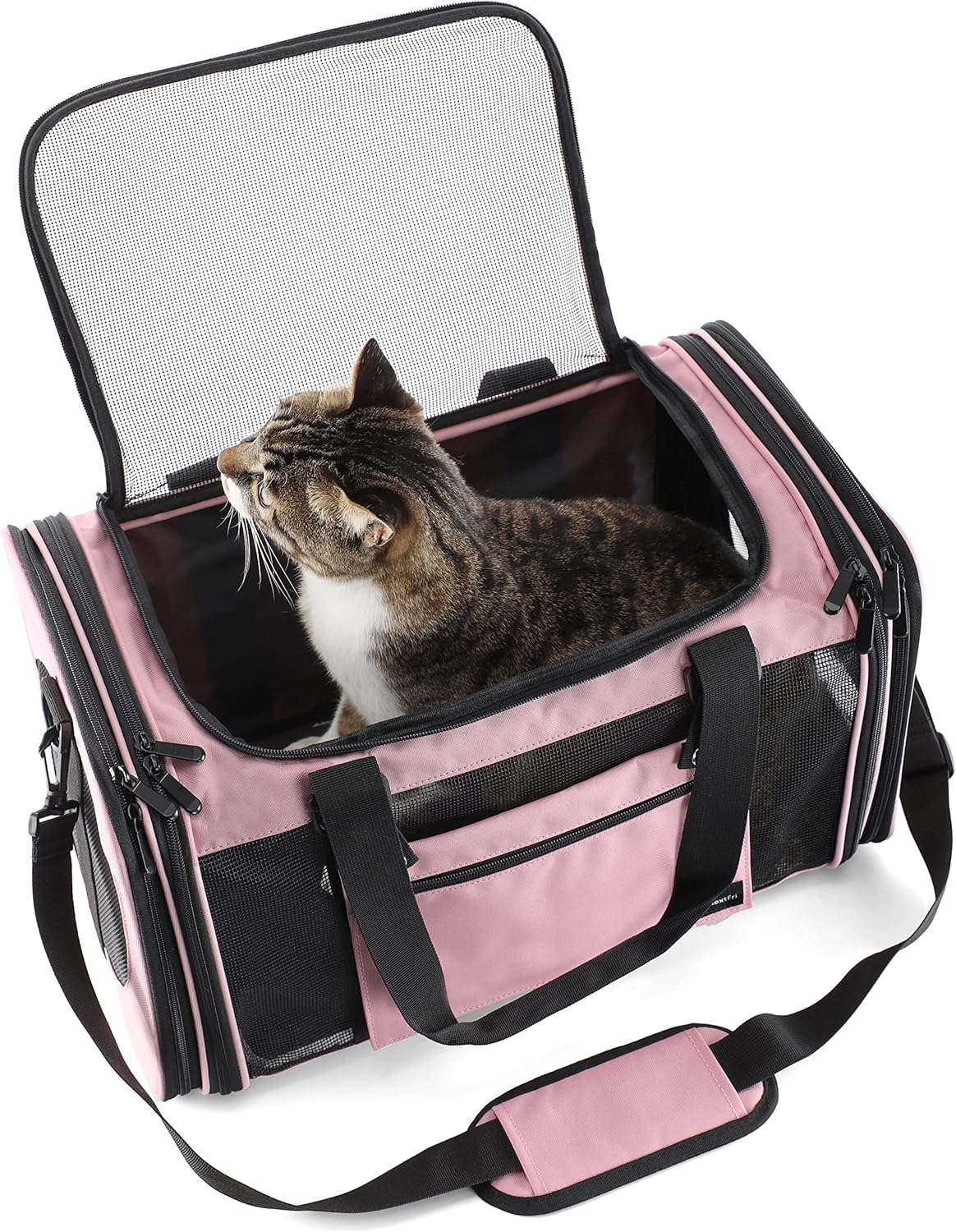 NextFri Soft Sided Carrier for Cats Dogs,TSA Airline Approved Collapsible Travel Pet Carrier (Magenta, Medium)
