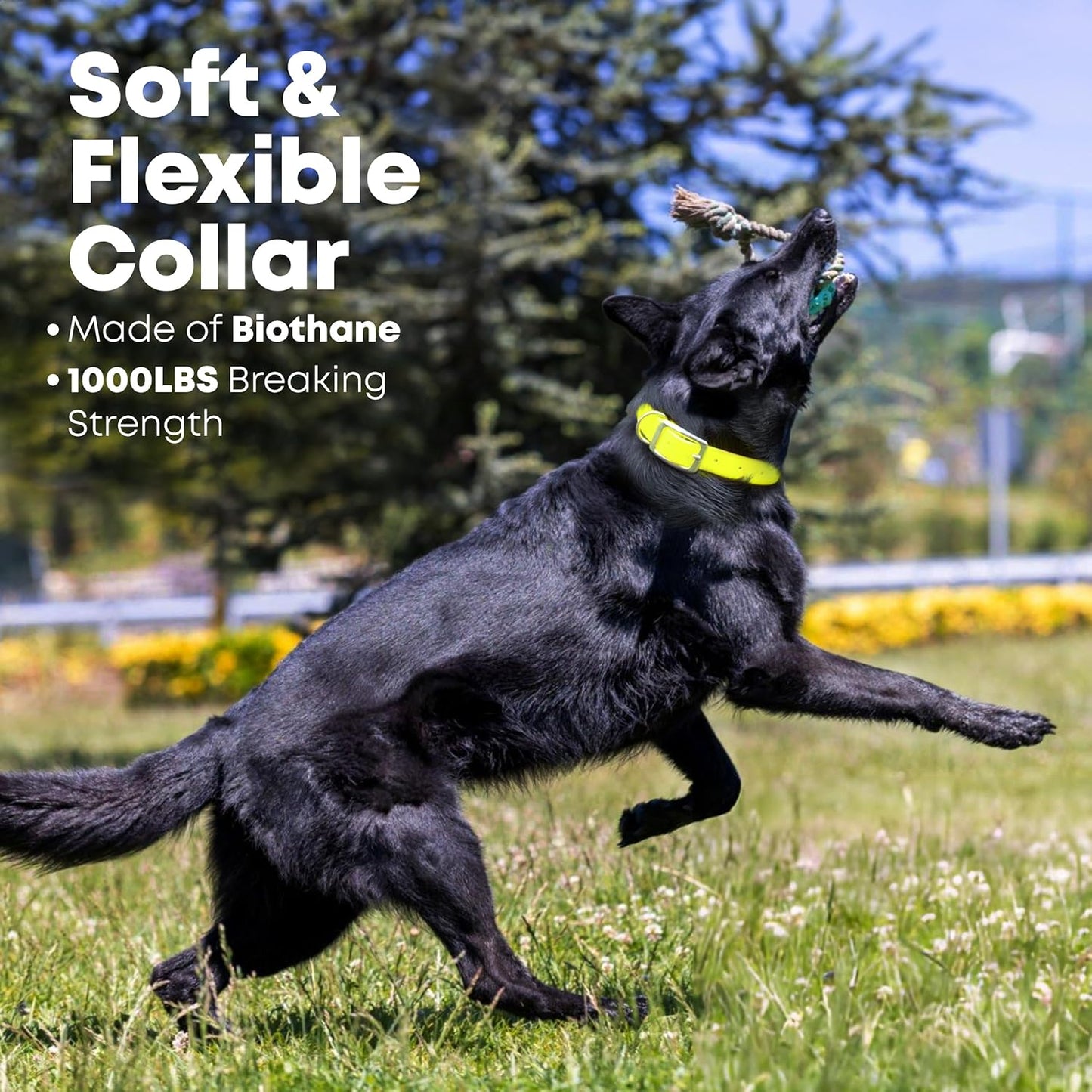 Regal Dog Products Medium Yellow Waterproof Dog Collar with Heavy Duty Double Buckle & D Ring | Vinyl Coated, Custom Fit, Adjustable Biothane Dog Collar | Chew Resistant Waterproof Collar for Dogs