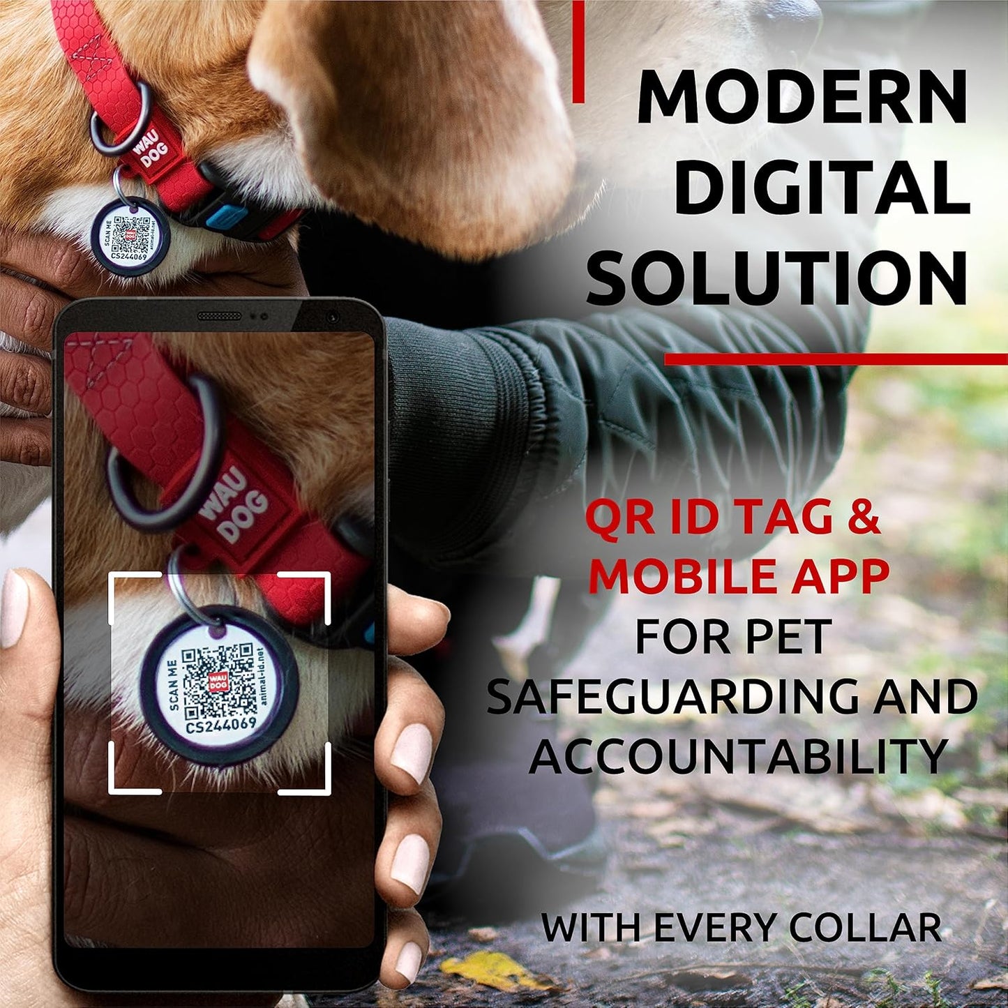 Waterproof Dog Collar - Adjustable Glow Dog Collar for Large Dogs, Small and Medium Dogs - Heavy Duty Dog Collars with Durable Metal Clasp and QR Dog Tag - Glow in The Dark Dog Collars