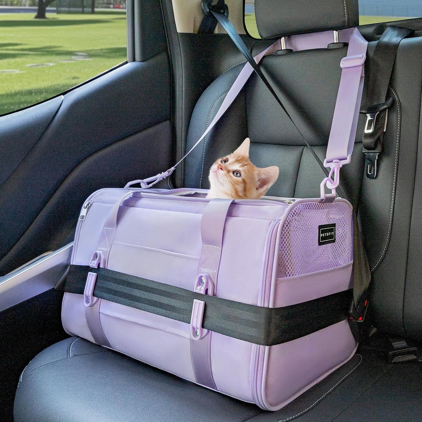 Petsfit Pet Carrier Airline Approved, Soft-Sided Cat Carrier with Patented Car Buckle, Lightweight and Collapsible with Adjustable Shoulder Strap, Soft Cushion,Green