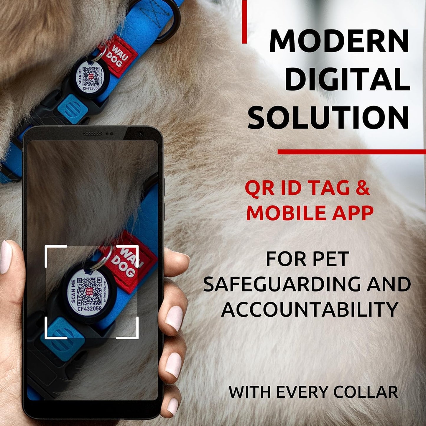 Waterproof Dog Collar - Adjustable Glow Dog Collar for Large Dogs, Small and Medium Dogs - Heavy Duty Dog Collars with Durable Metal Clasp and QR Dog Tag - Glow in The Dark Dog Collars