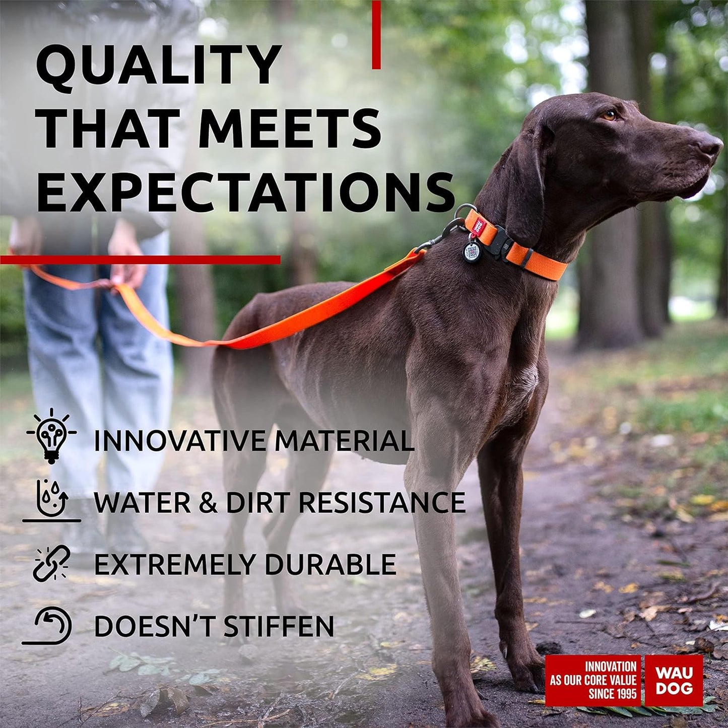 Waterproof Dog Collar - Adjustable Glow Dog Collar for Large Dogs, Small and Medium Dogs - Heavy Duty Dog Collars with Durable Metal Clasp and QR Dog Tag - Glow in The Dark Dog Collars