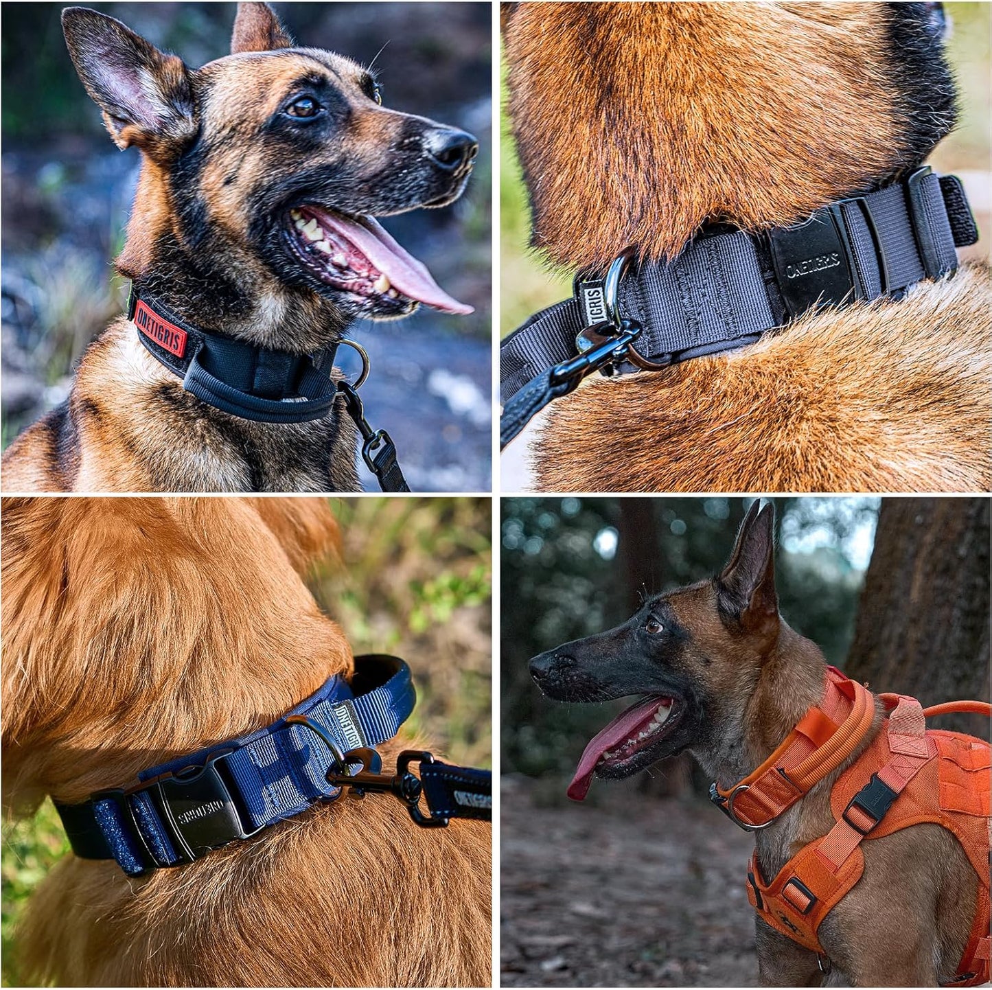 OneTigris Tactical Dog Collars with Handle,Military Dog Collar for Large Dog,Adjustable Nylon Collar German Shepherd Collar with Heavy Duty Metal Buckle for Dog Training and Walking (M, Orange)