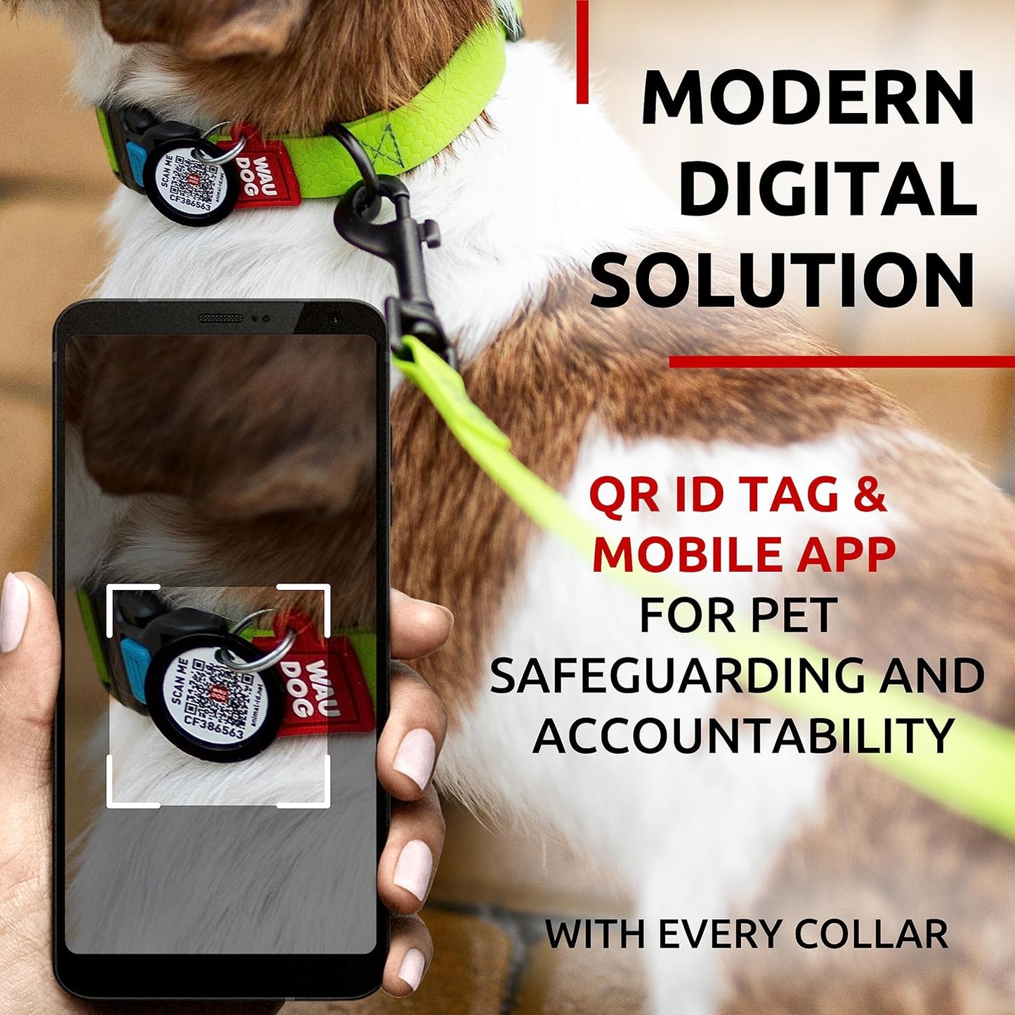 Waterproof Dog Collar - Adjustable Glow Dog Collar for Large Dogs, Small and Medium Dogs - Heavy Duty Dog Collars with Durable Metal Clasp and QR Dog Tag - Glow in The Dark Dog Collars