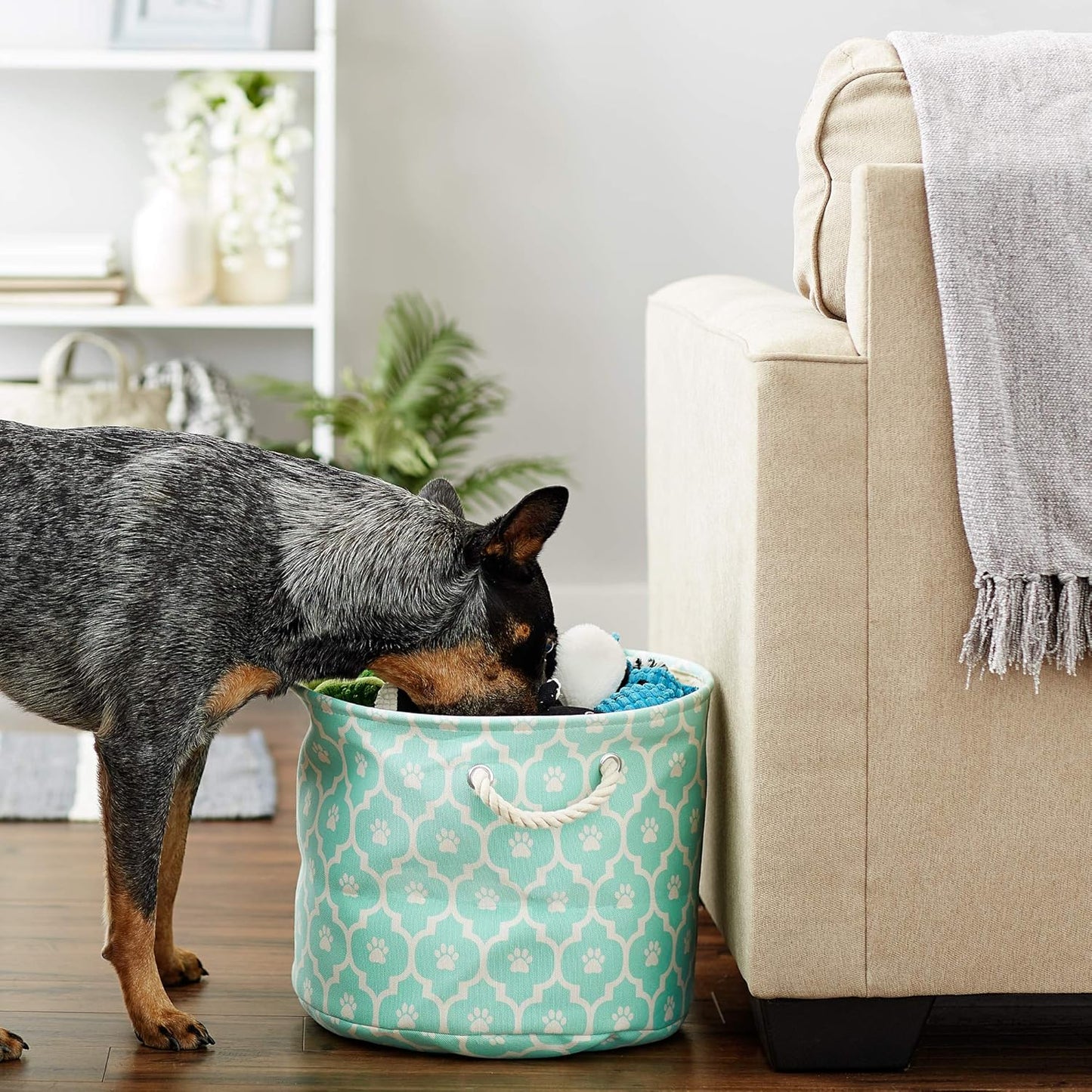 DII Bone Dry RoundSmall Pet Toy and Accessory Storage Bin, 12"(Dia) x9(H), Collapsible Organizer Storage Basket for Home Decor, Pet Toy, Blankets, Leashes and Food-Gray Stripes