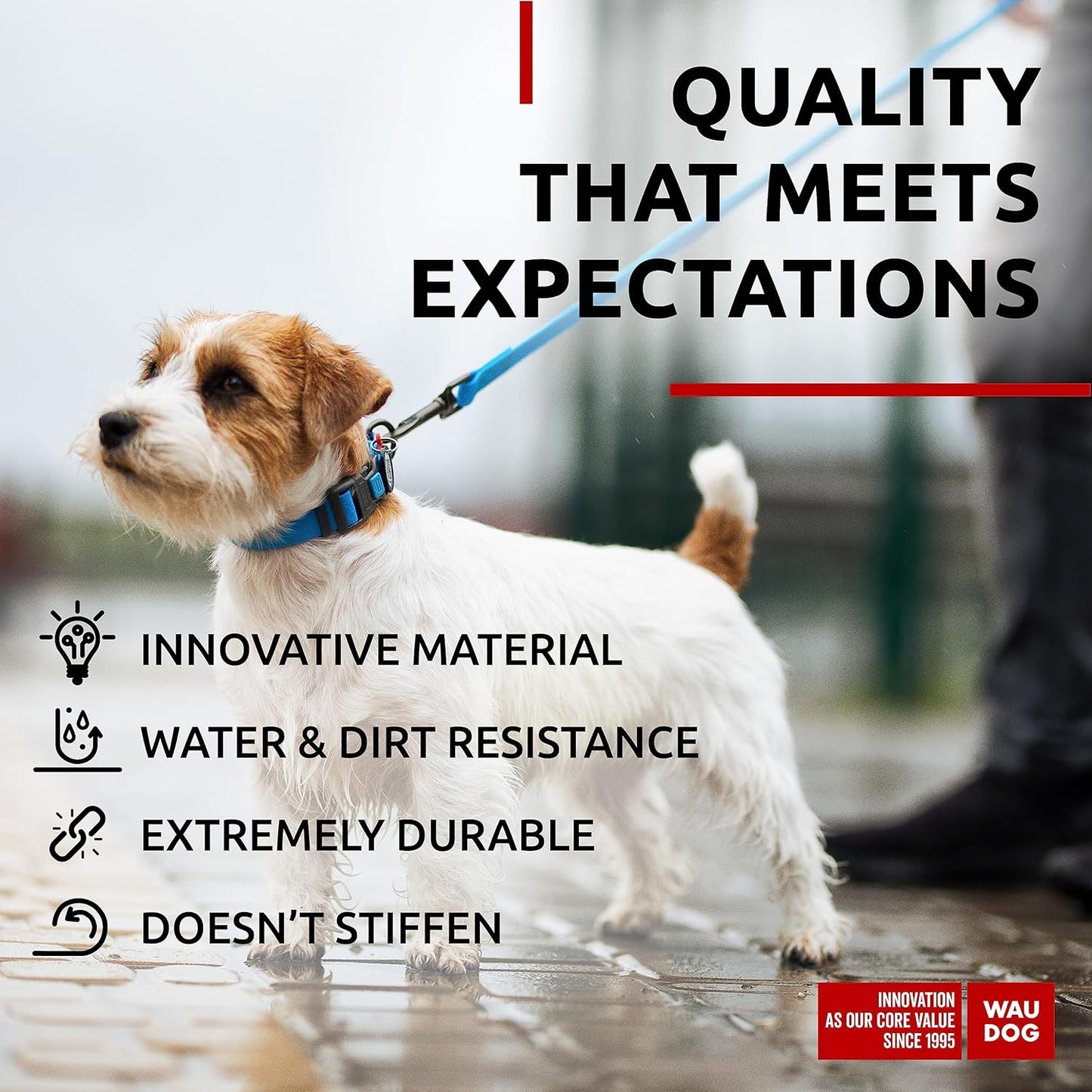 Waterproof Dog Collar - Adjustable Glow Dog Collar for Large Dogs, Small and Medium Dogs - Heavy Duty Dog Collars with Durable Metal Clasp and QR Dog Tag - Glow in The Dark Dog Collars