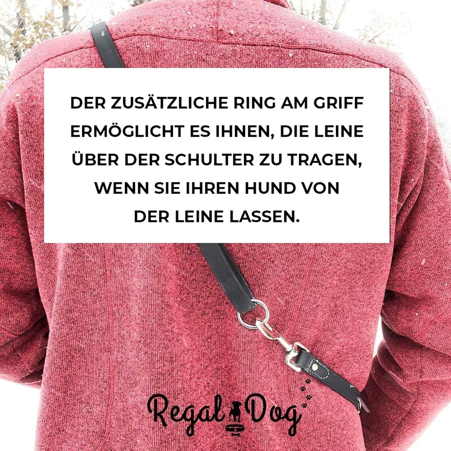 Regal Dog Products Medium Orange Dog Collar with Heavy Duty Double Buckle & D Ring | Vinyl Coated, Custom Fit, Adjustable Biothane Dog Collar Chew Resistant Waterproof Center-Ring Collar for Dogs