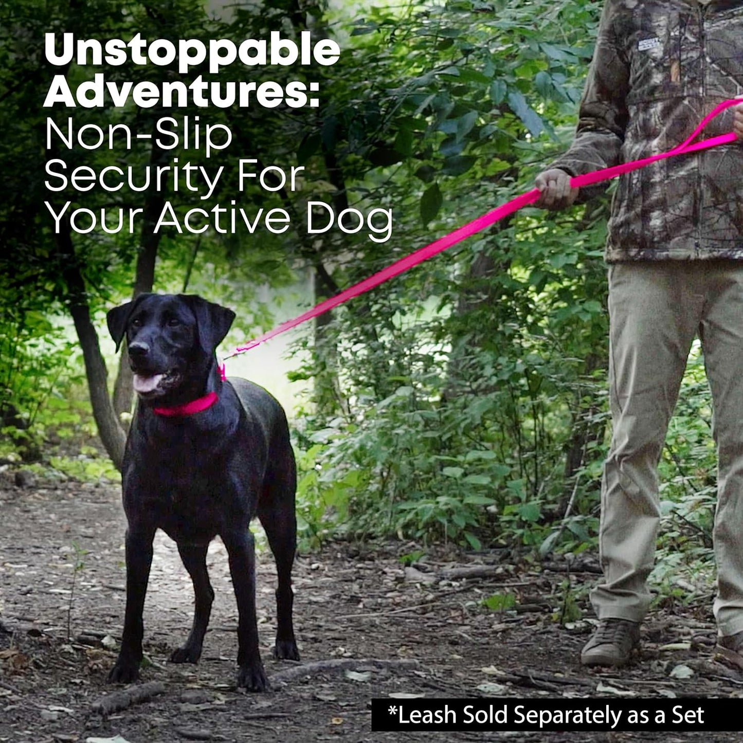 Regal Dog Products Medium Black Waterproof Dog Collar with Gold Buckle, Resilient and Durable Materials, Comfortable Design - for Small, Medium, and Large Breed Dogs