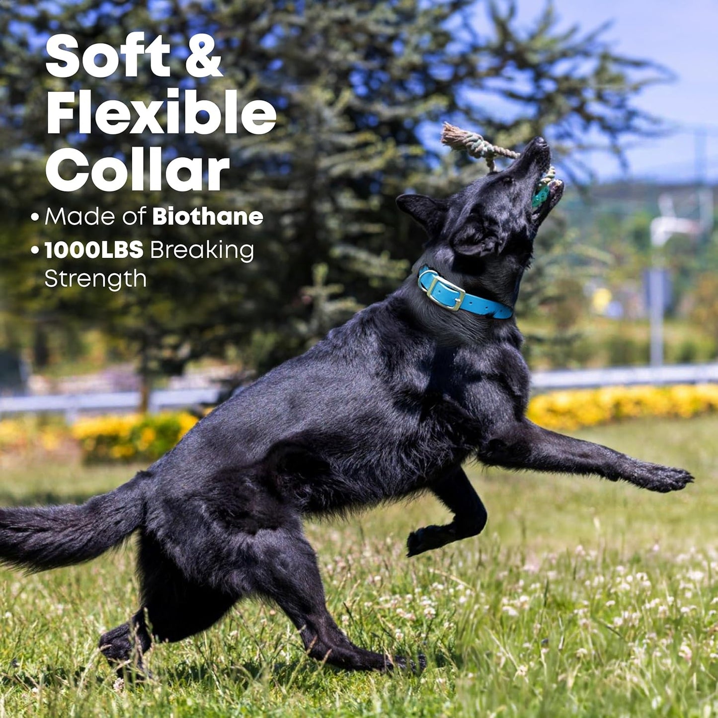 Regal Dog Products Large Pink Waterproof Dog Collar with Heavy Duty Double Buckle & D Ring | Vinyl Coated, Custom Fit, Adjustable Biothane Dog Collar | Chew Resistant Waterproof Collar for Dogs