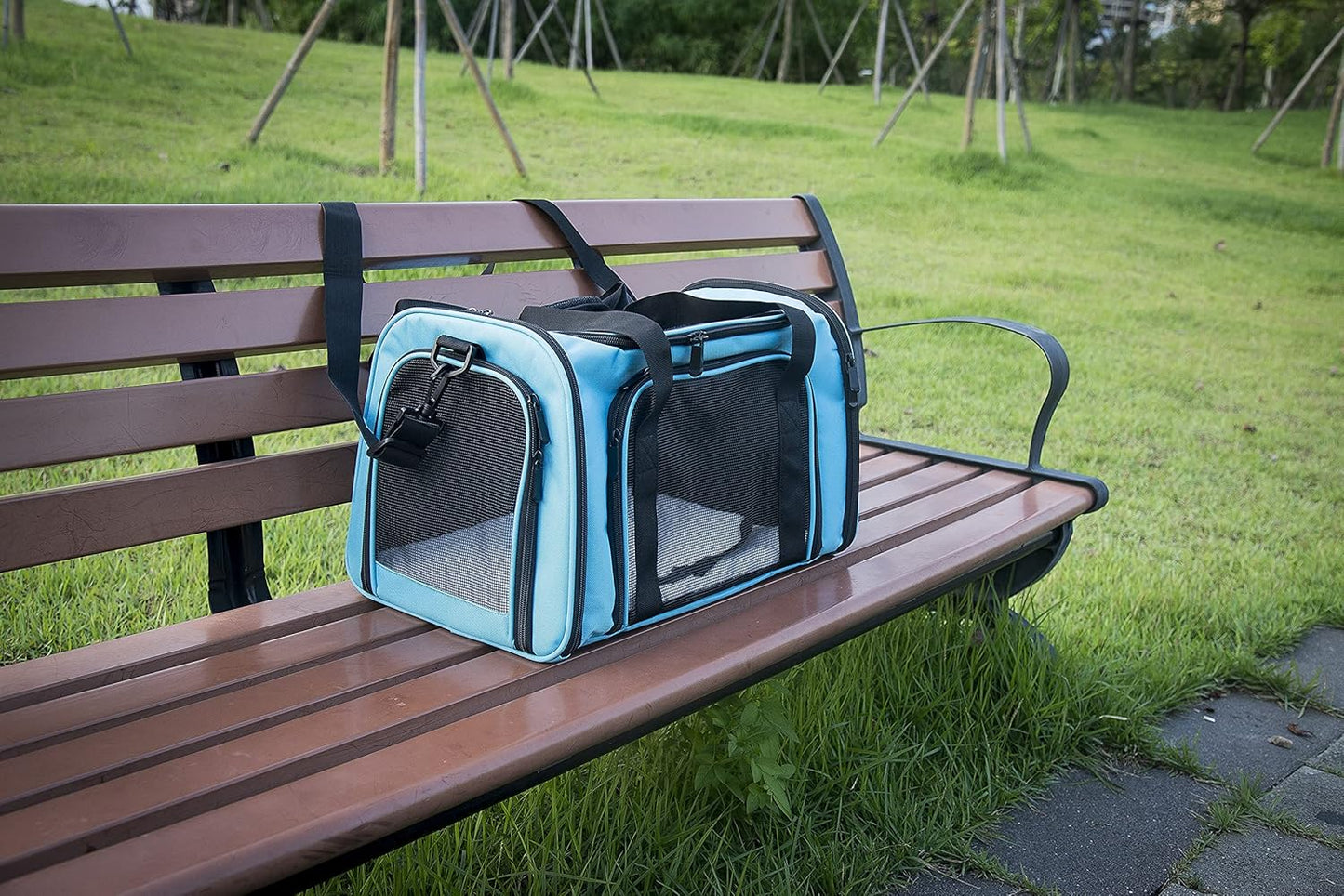 NextFri Soft Sided Carrier for Cats Dogs,TSA Airline Approved Collapsible Travel Pet Carrier (Magenta, Medium)