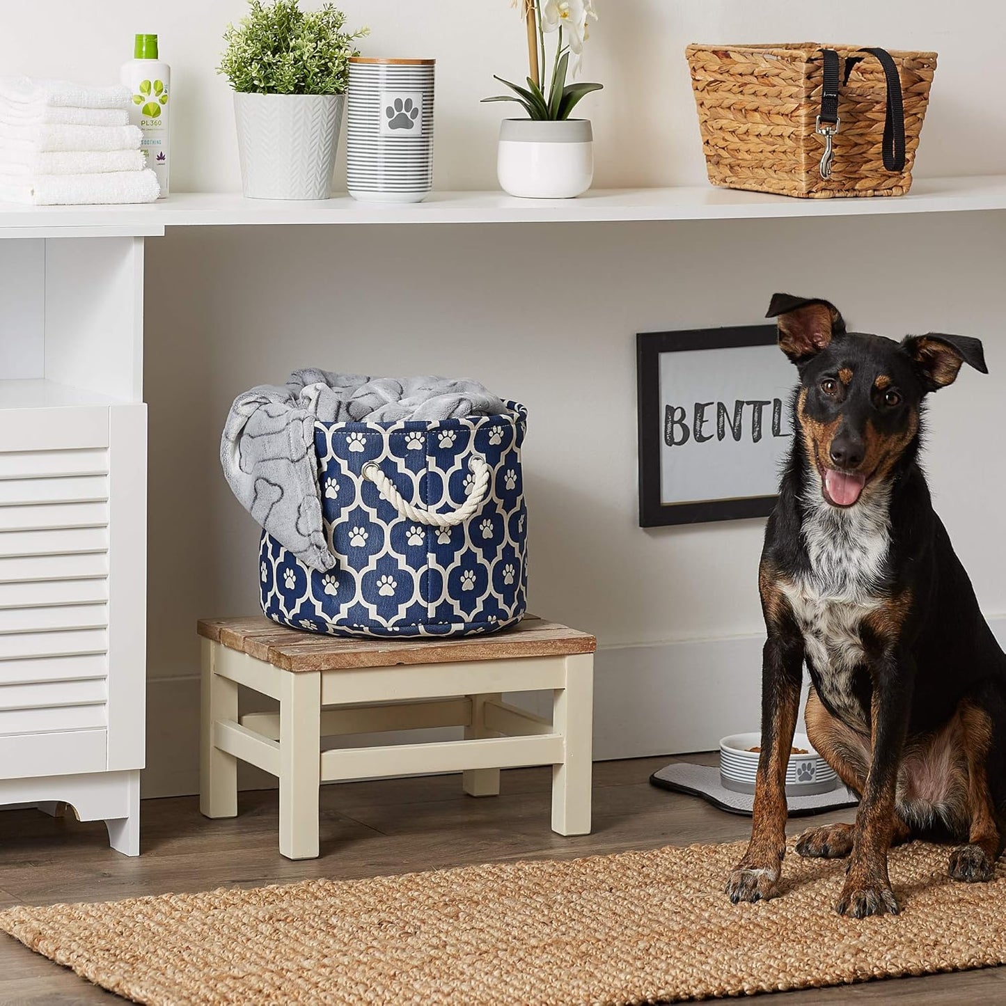 DII Bone Dry RoundSmall Pet Toy and Accessory Storage Bin, 12"(Dia) x9(H), Collapsible Organizer Storage Basket for Home Decor, Pet Toy, Blankets, Leashes and Food-Gray Stripes