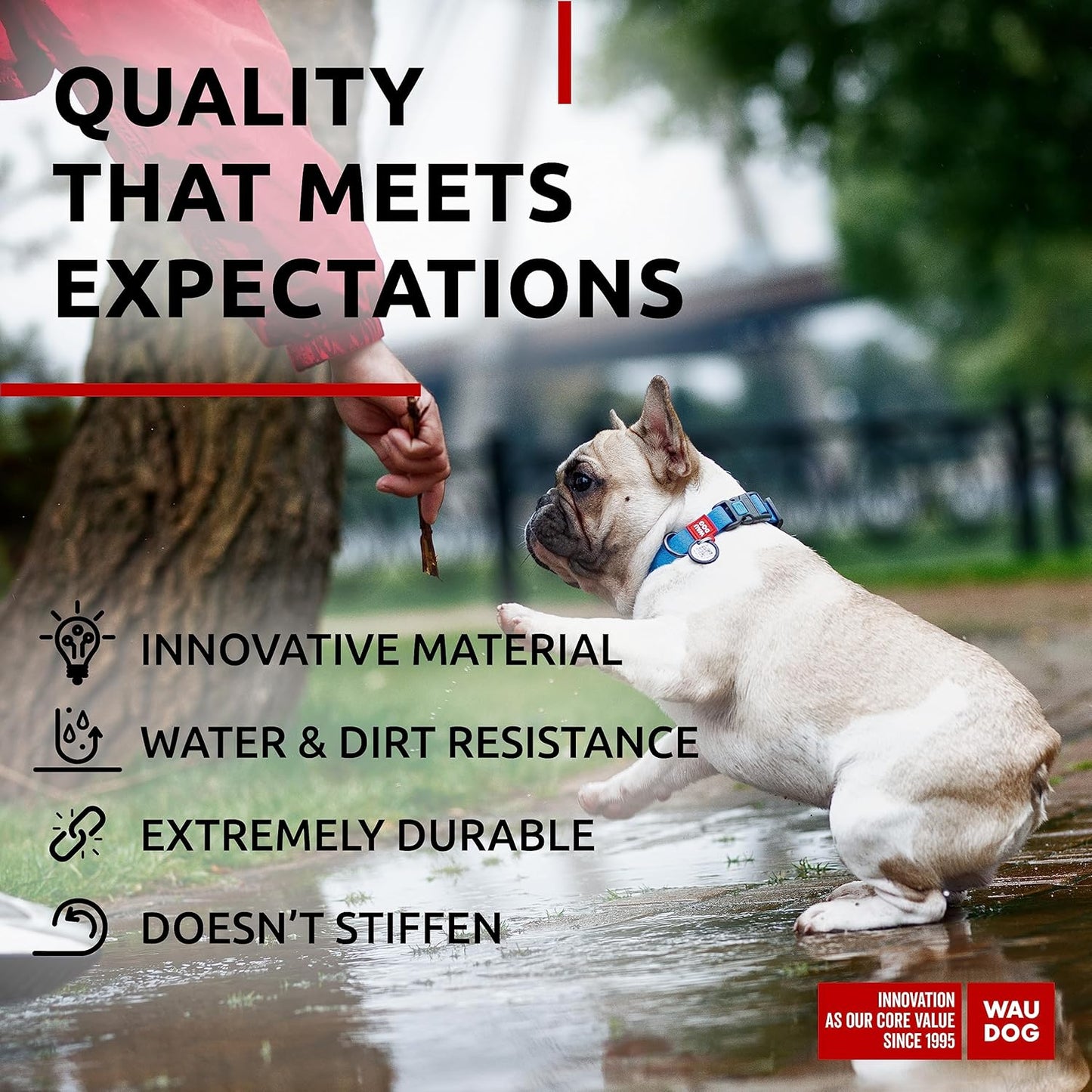 Waterproof Dog Collar - Adjustable Glow Dog Collar for Large Dogs, Small and Medium Dogs - Heavy Duty Dog Collars with Durable Metal Clasp and QR Dog Tag - Glow in The Dark Dog Collars