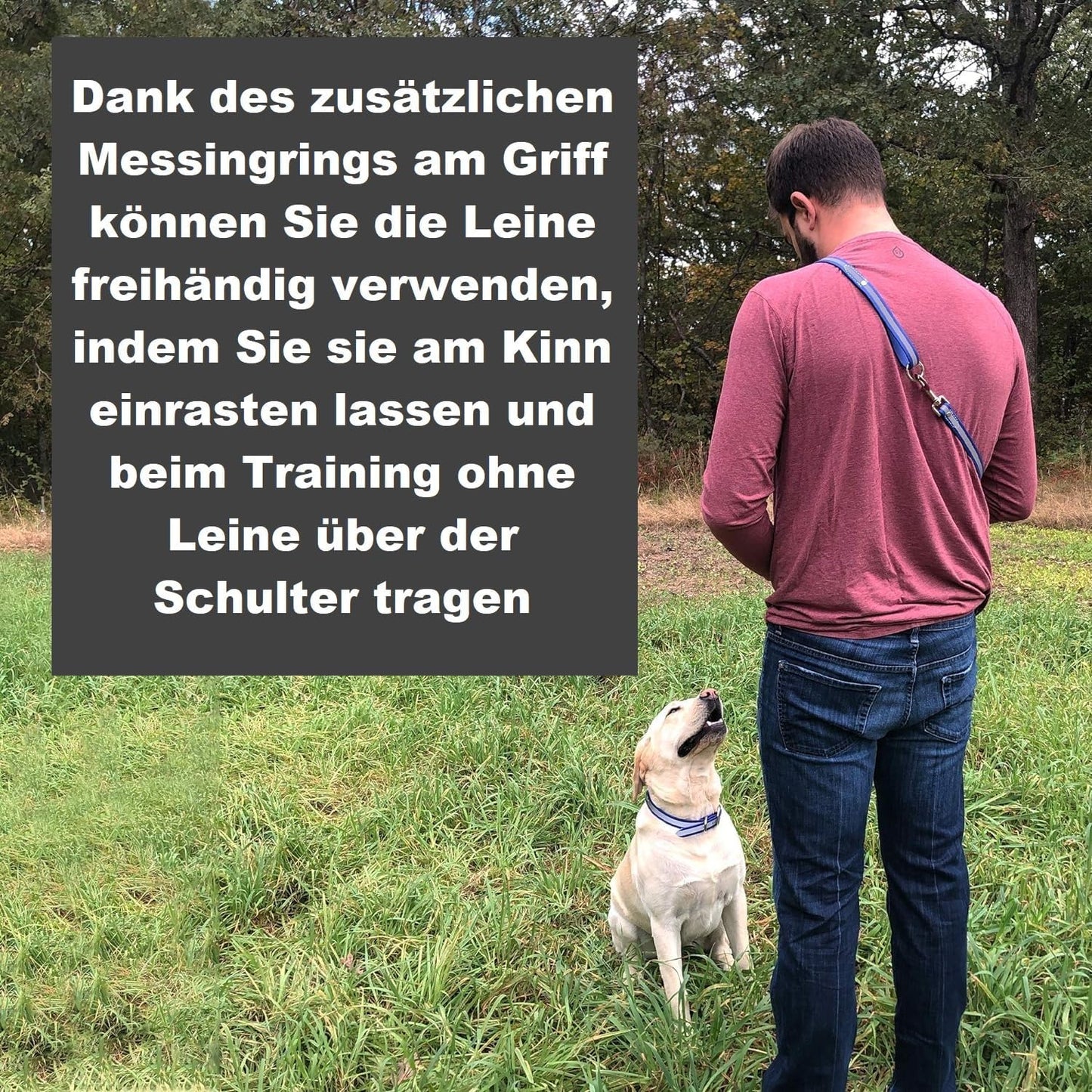 Regal Dog Products Heavy Duty Reflective Dog Collar – Adjustable and with Durable Metal Buckle and Rings Anti-Odor, chew Resistant, Waterproof Dog Collar for Small Medium and Large Dogs (Large, Pink)