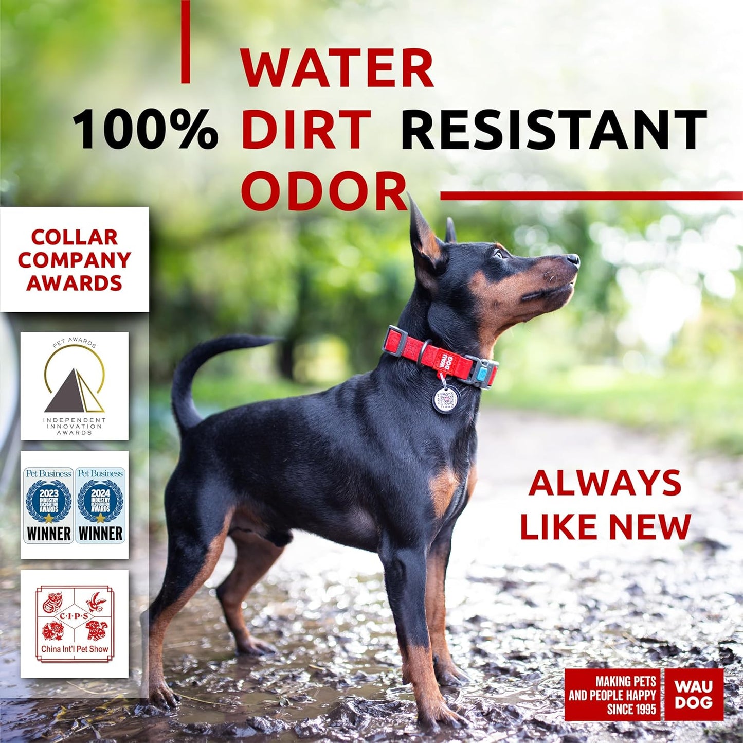 Waterproof Dog Collar - Adjustable Glow Dog Collar for Large Dogs, Small and Medium Dogs - Heavy Duty Dog Collars with Durable Metal Clasp and QR Dog Tag - Glow in The Dark Dog Collars