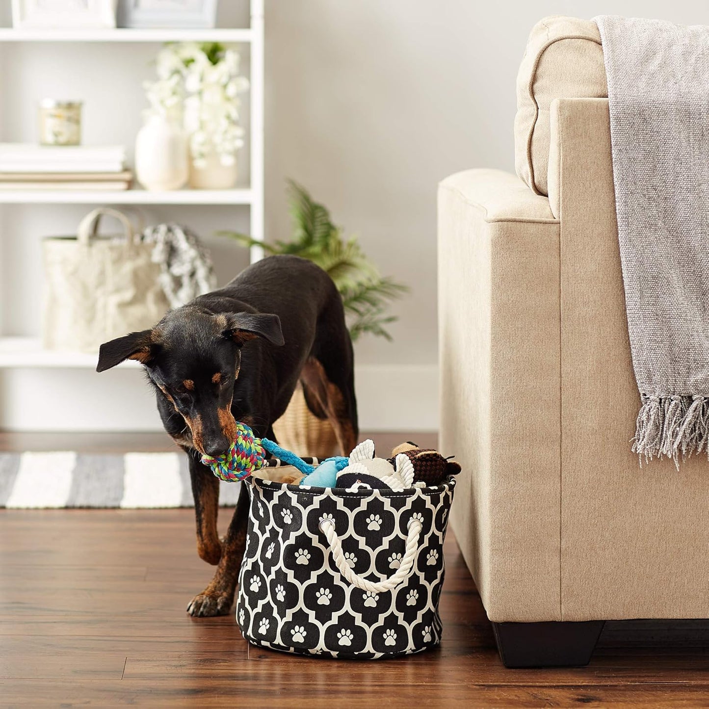 DII Bone Dry RoundSmall Pet Toy and Accessory Storage Bin, 12"(Dia) x9(H), Collapsible Organizer Storage Basket for Home Decor, Pet Toy, Blankets, Leashes and Food-Gray Stripes