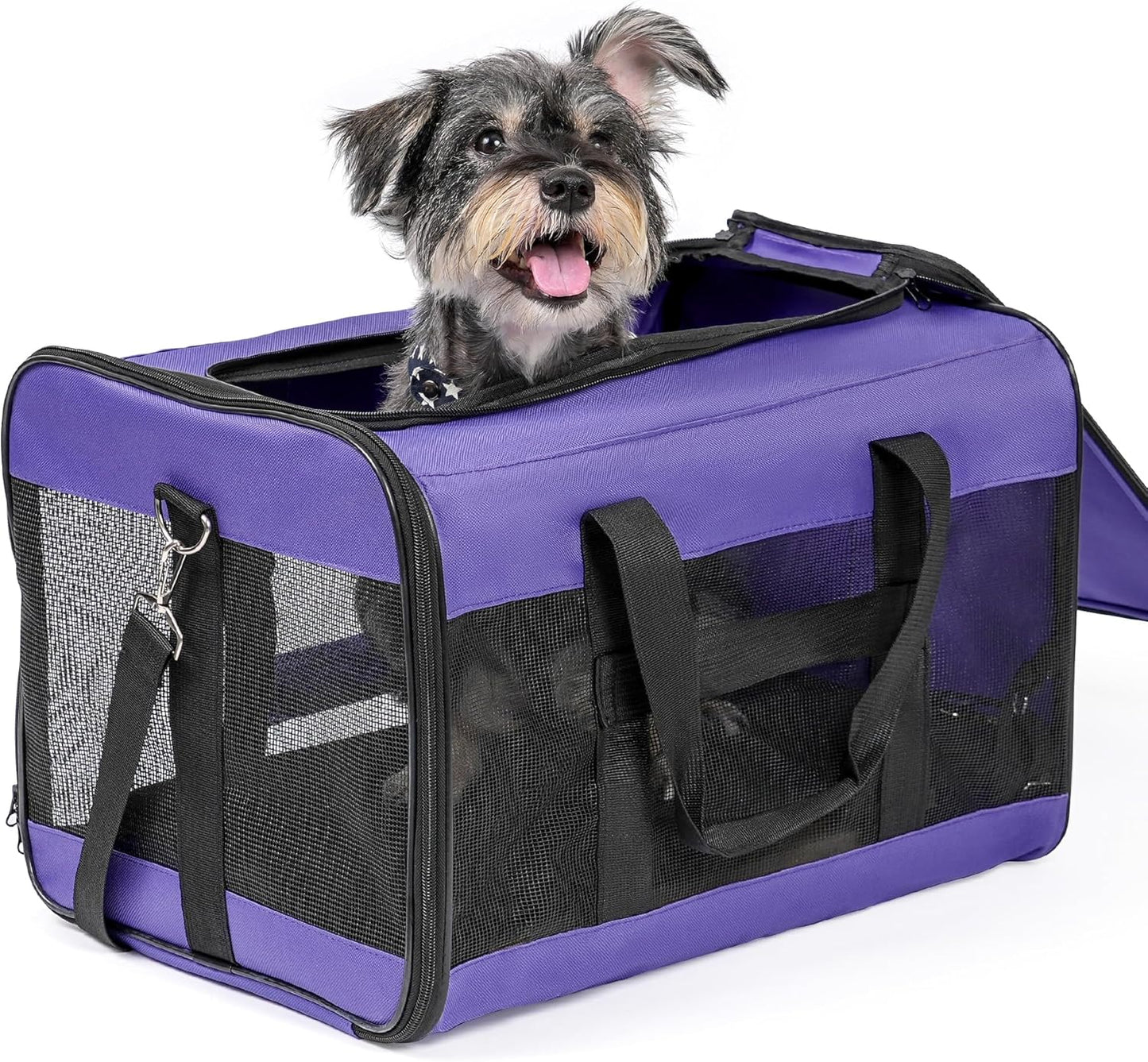 Conlun Cat Carrier Airline Approved, Soft-Sided Dog Carrier with Inner Safety Leash, Pet Transport Carrier for Small-Medium Cats Puppies up to 15 Lbs, Collapsible Travel Kitten Carrier Bag -Black M