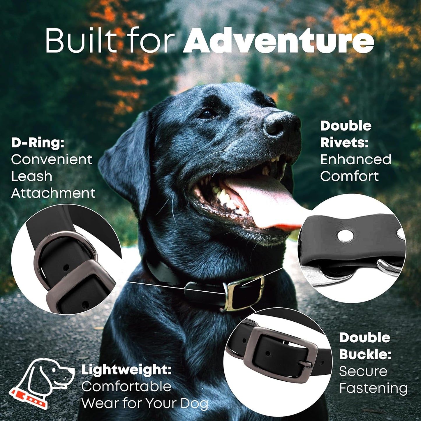 Regal Dog Products Medium Black Waterproof Dog Collar with Gold Buckle, Resilient and Durable Materials, Comfortable Design - for Small, Medium, and Large Breed Dogs